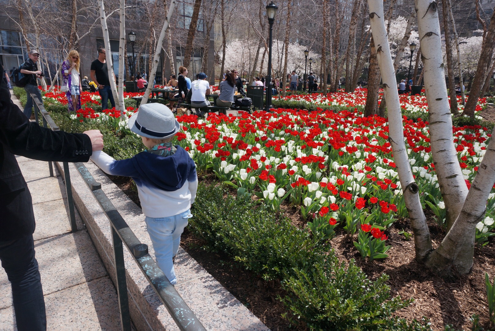 Spring in the City