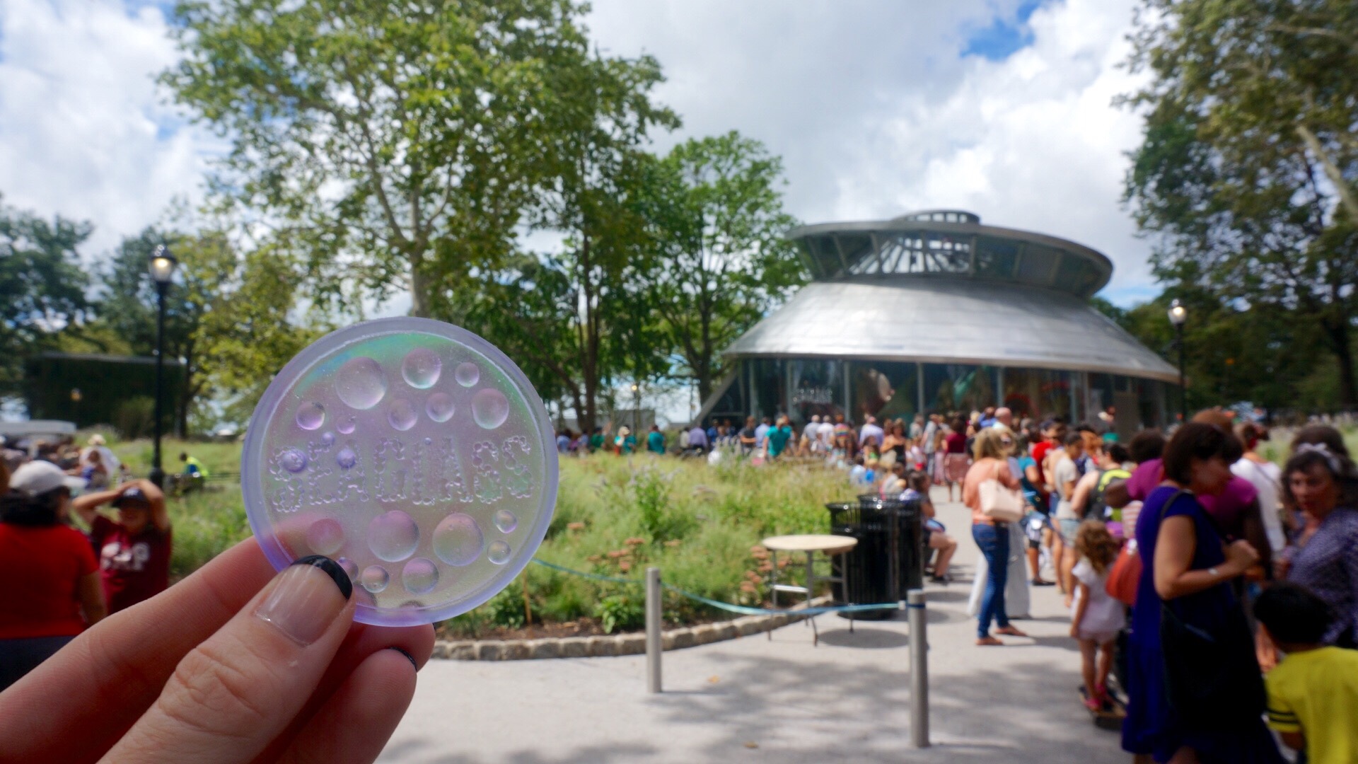 Under the Sea – Seaglass Carousel Opening