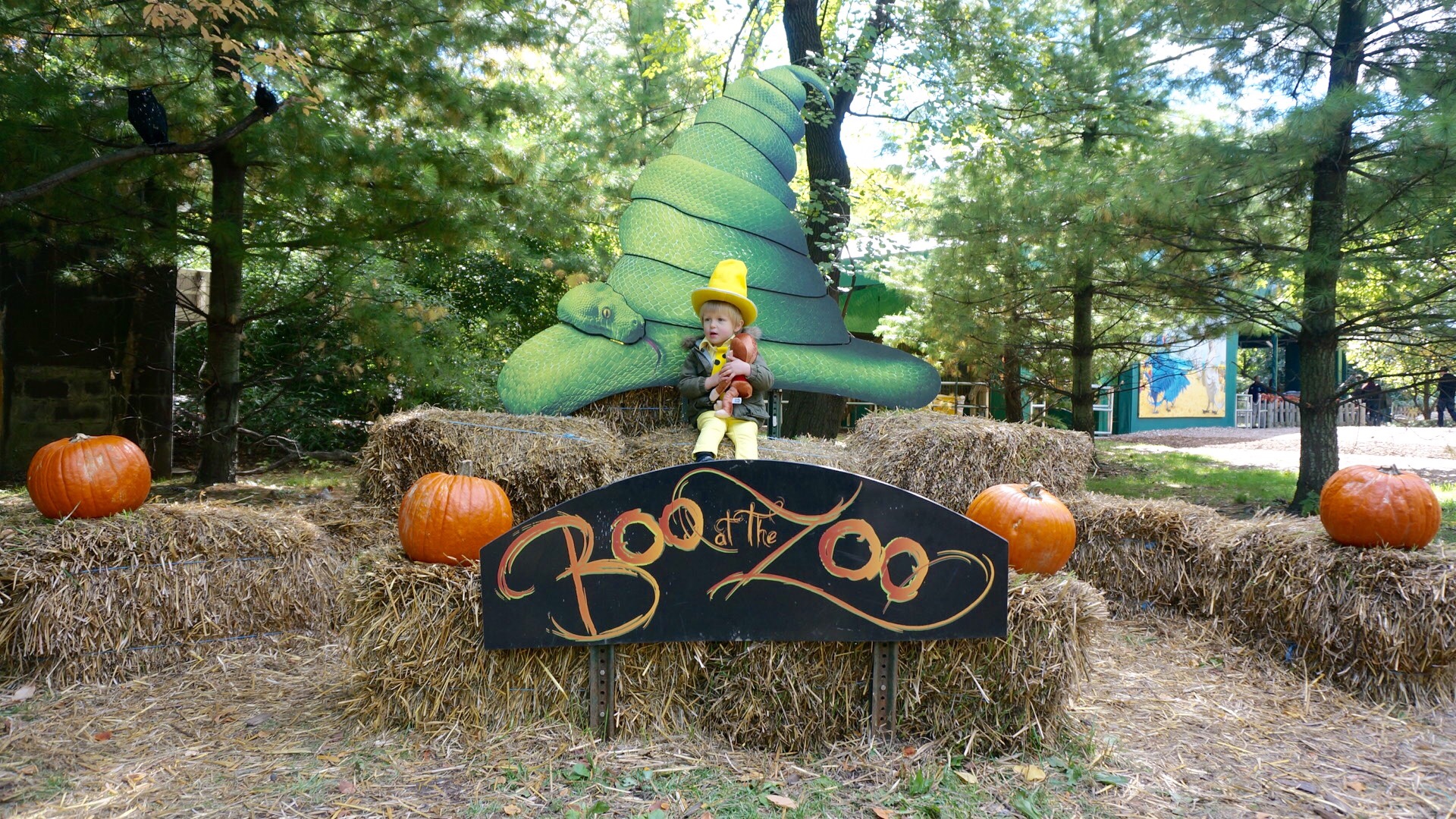 Boo at the Zoo – Bronx Zoo