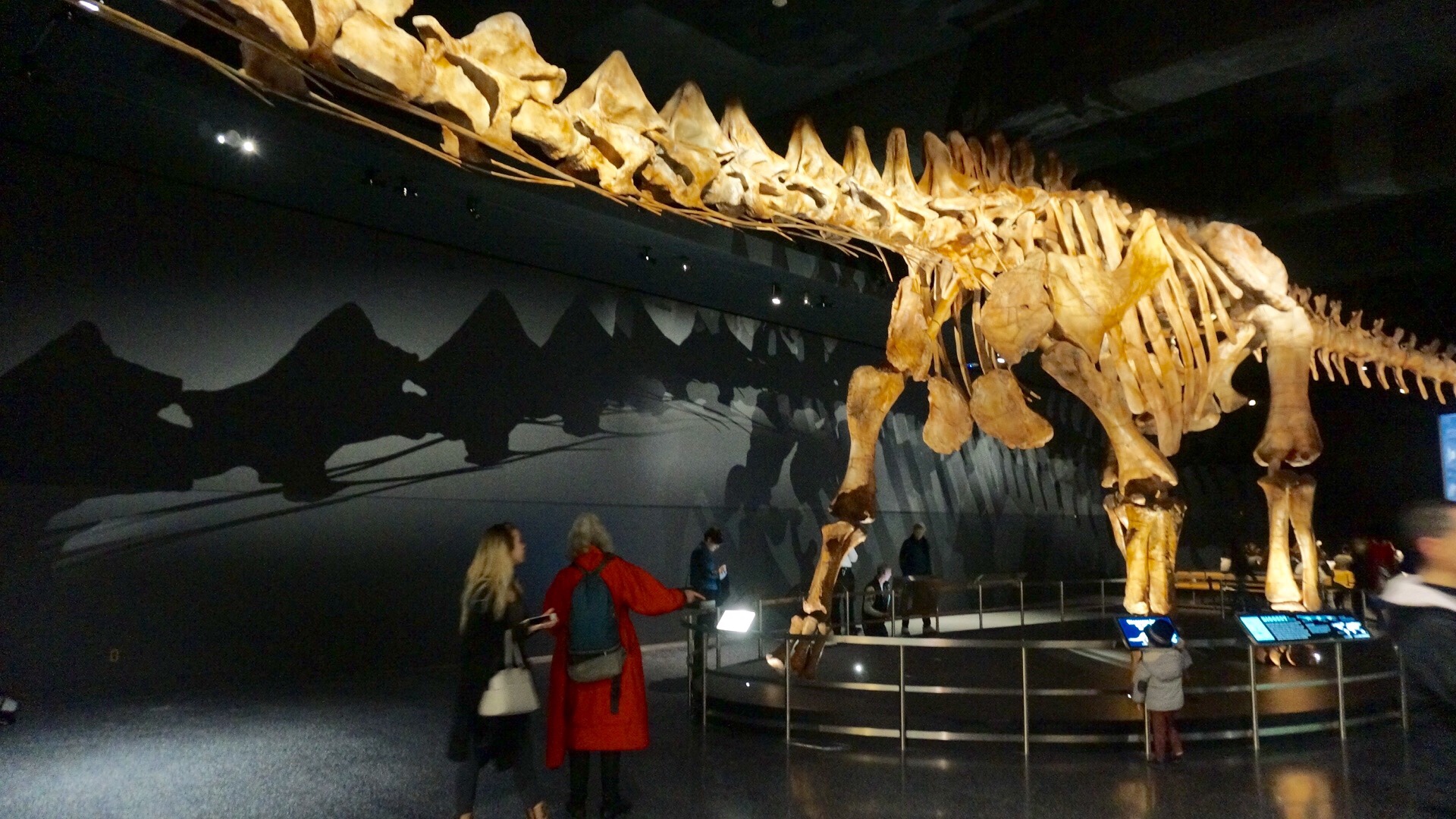 Meet: Titanosaur