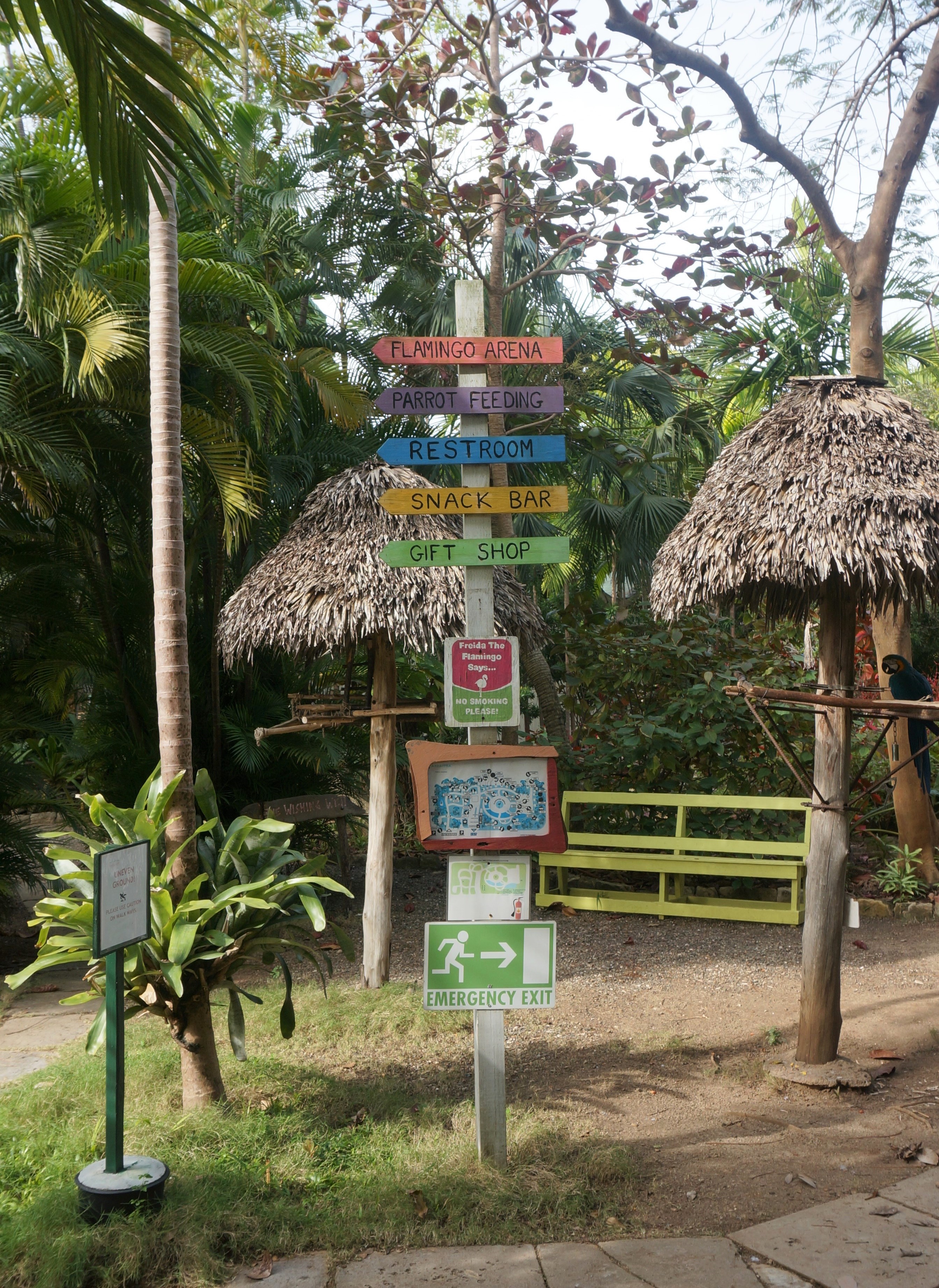 DSC00197