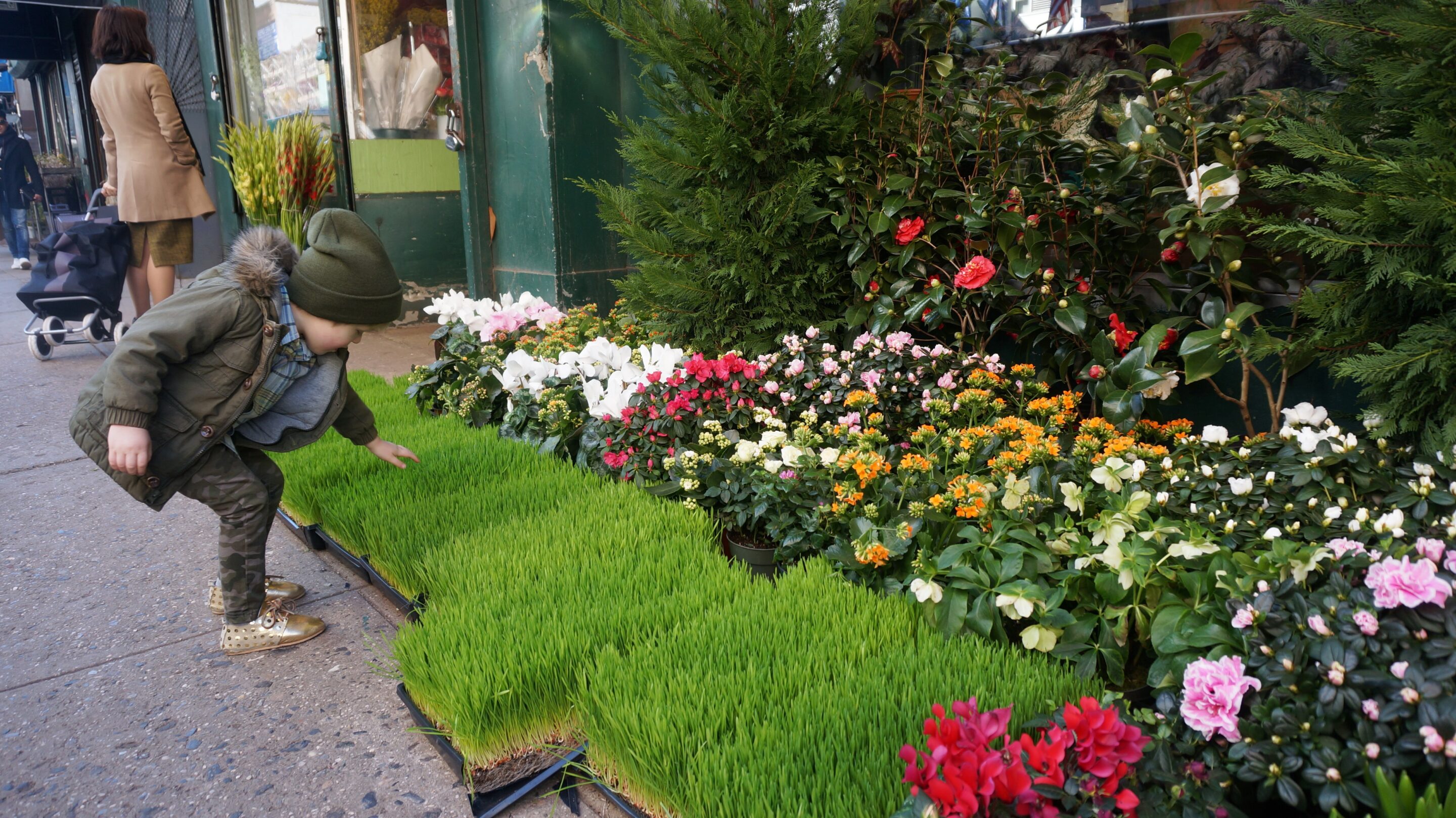 Behind the Bouquet: Walking Tour of NYC’s Flower District