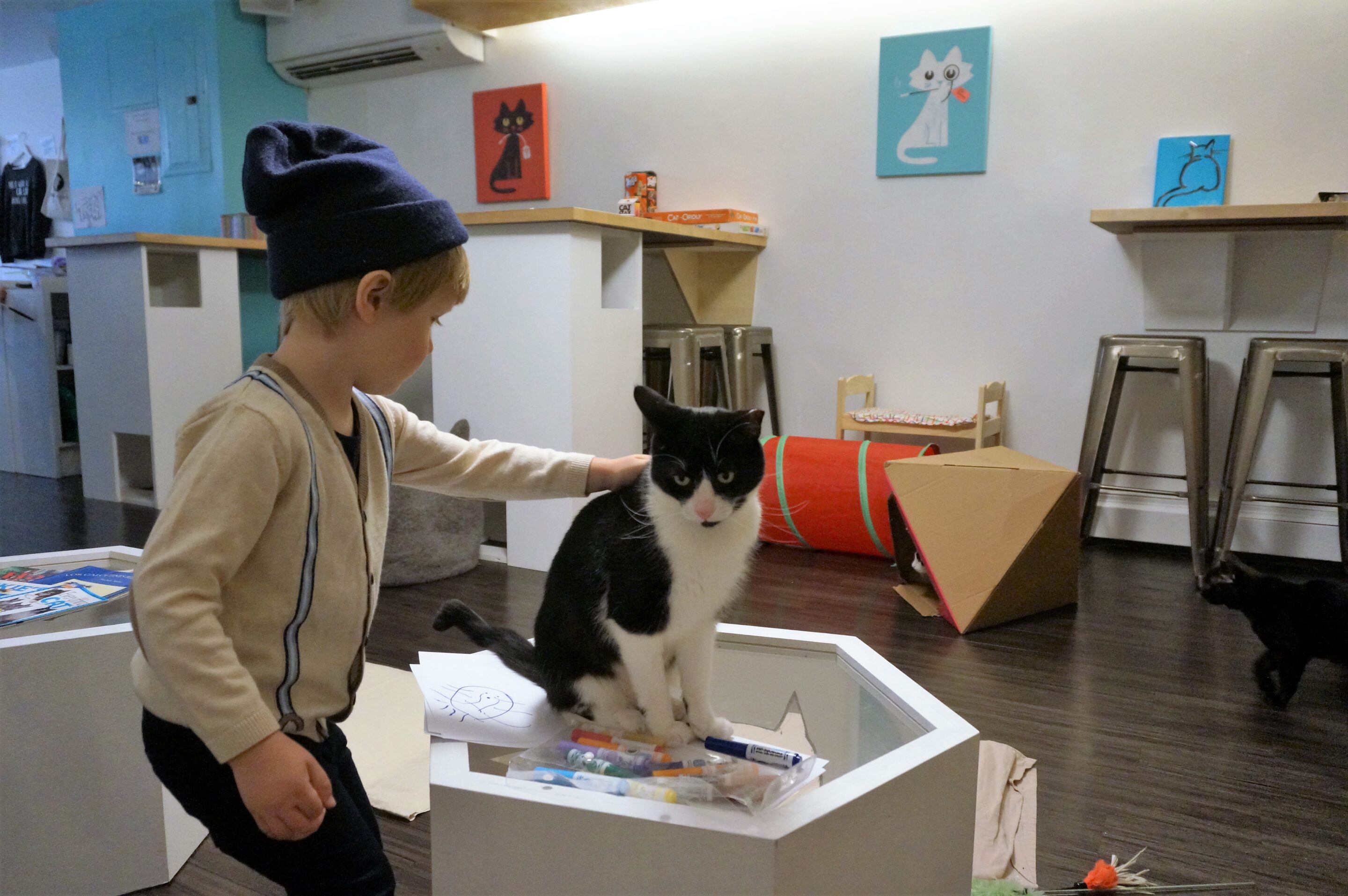 The Cat’s Meow – Meow Parlour Visit with Kids