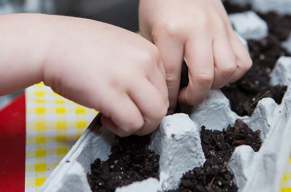 Martha Stewart Feature: Planting a Seed