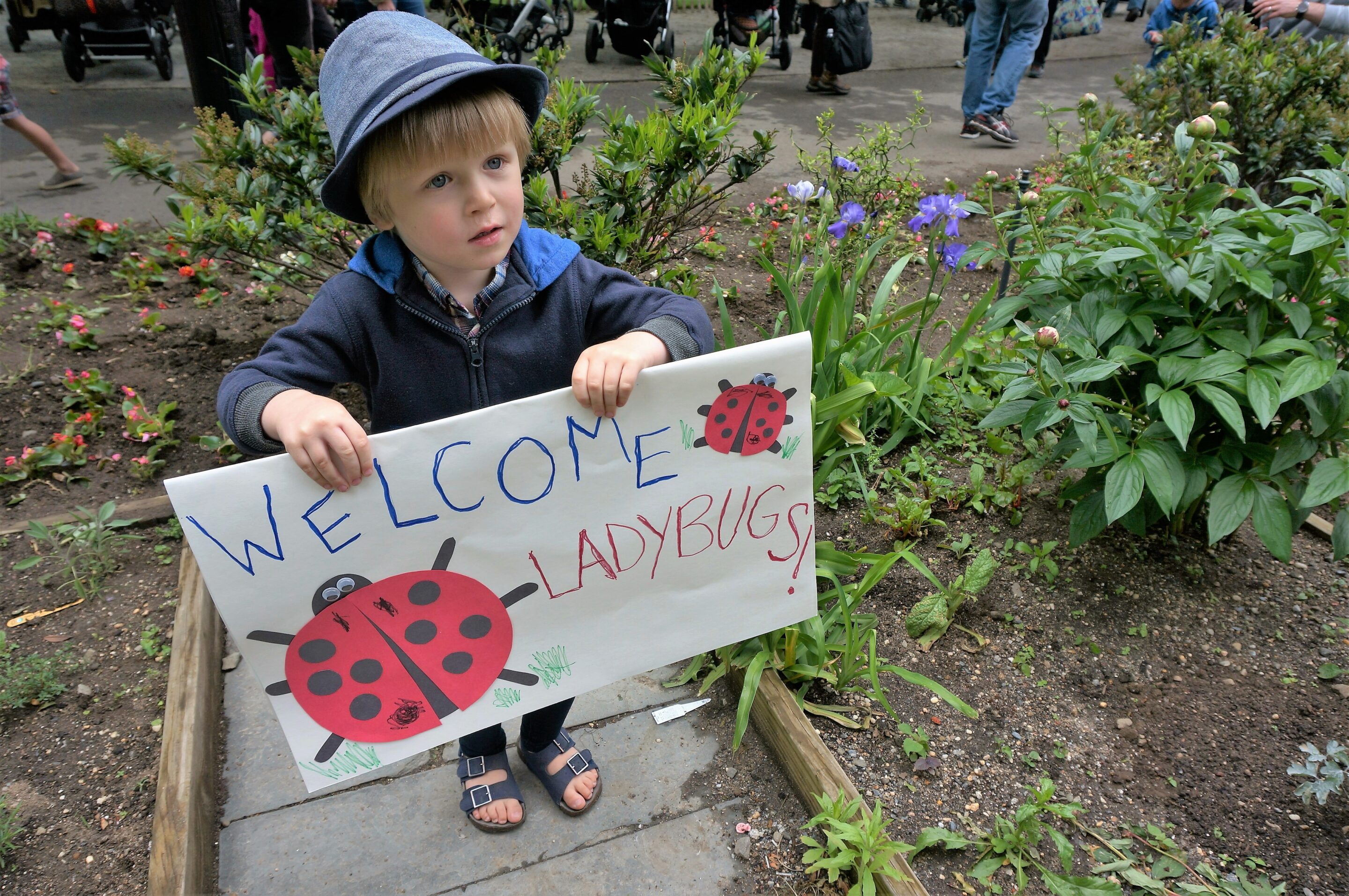 Ladybug Day – Washington Market Park