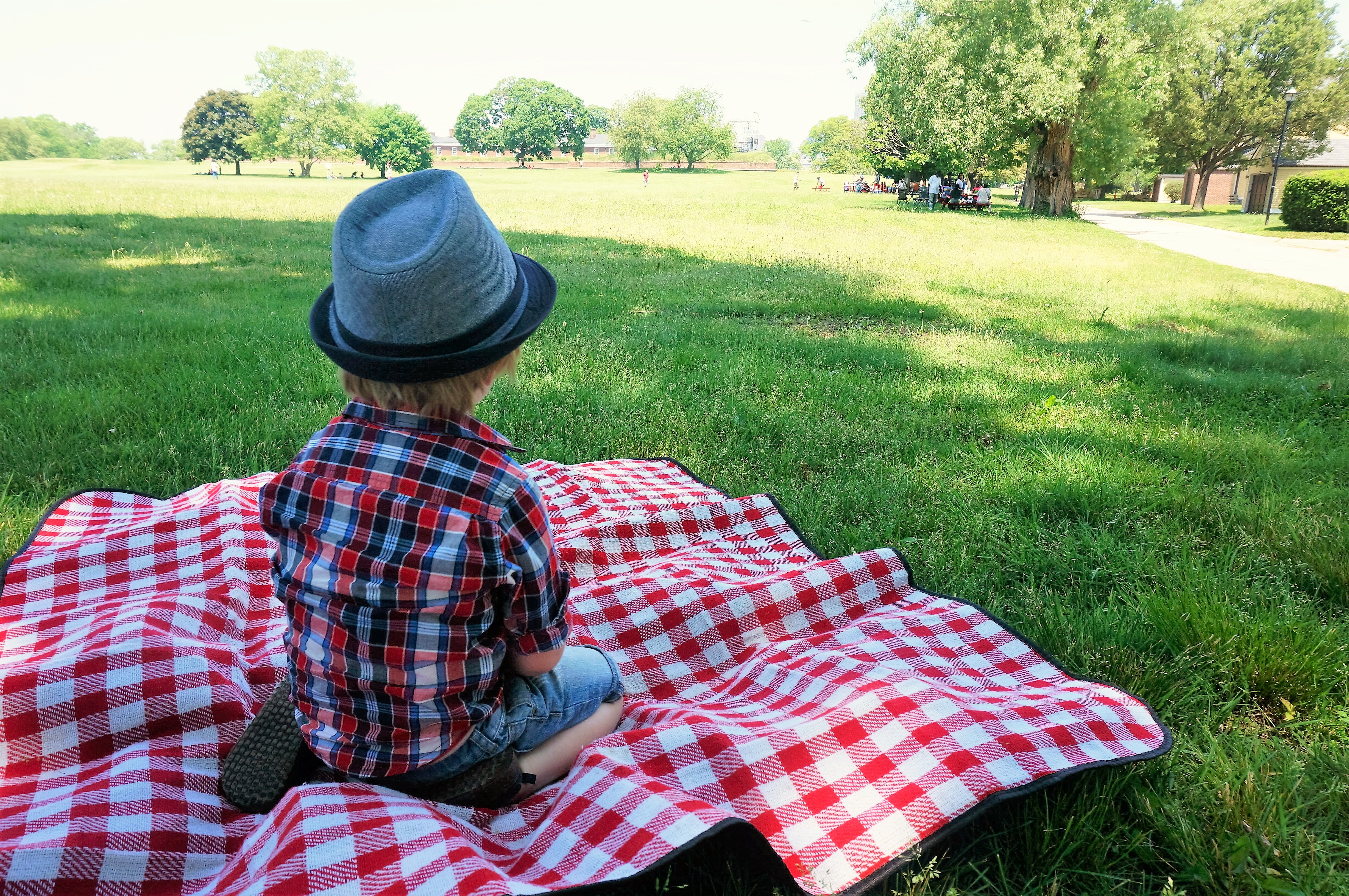 Picnic 5