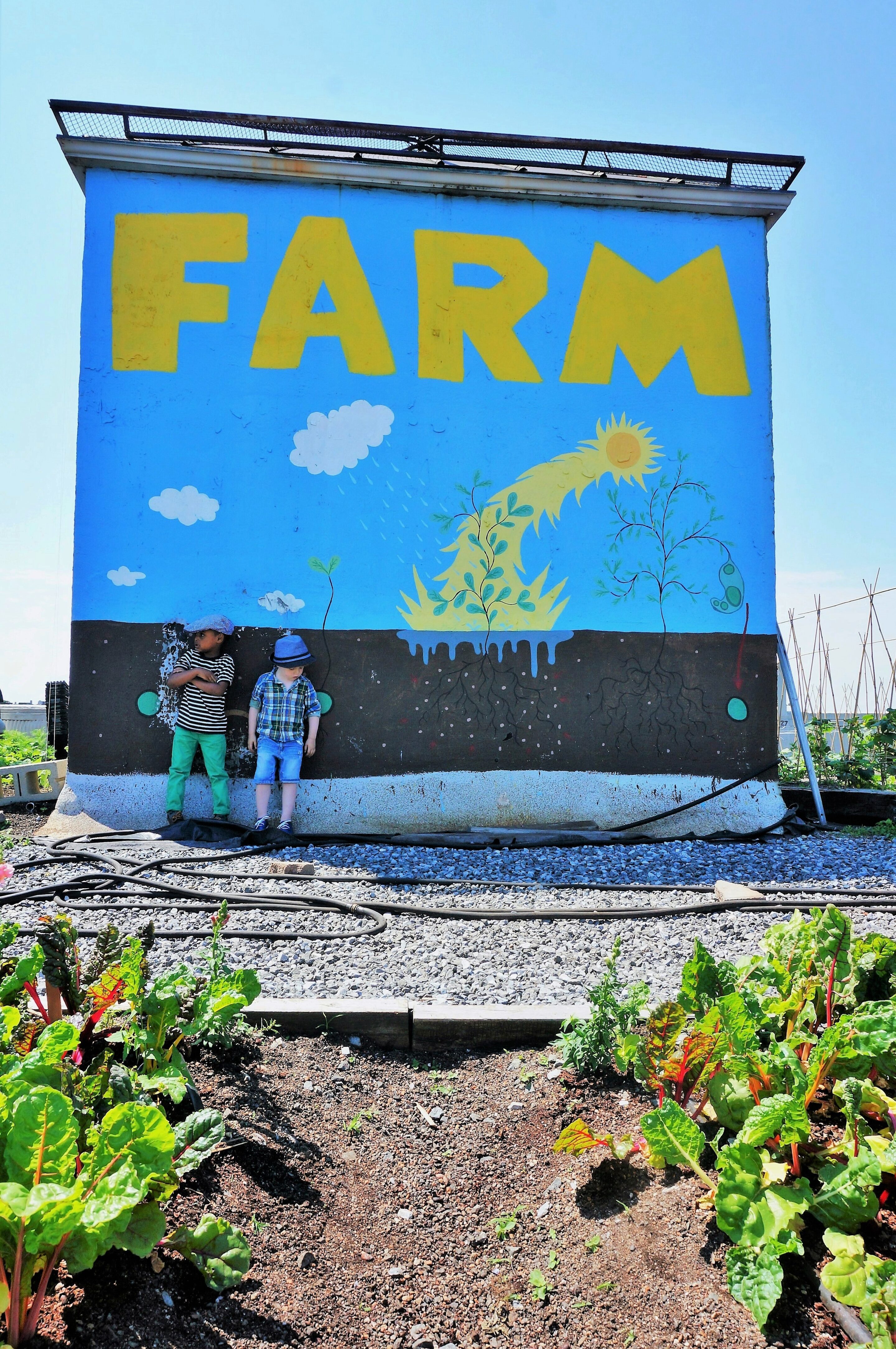 City Growers 27