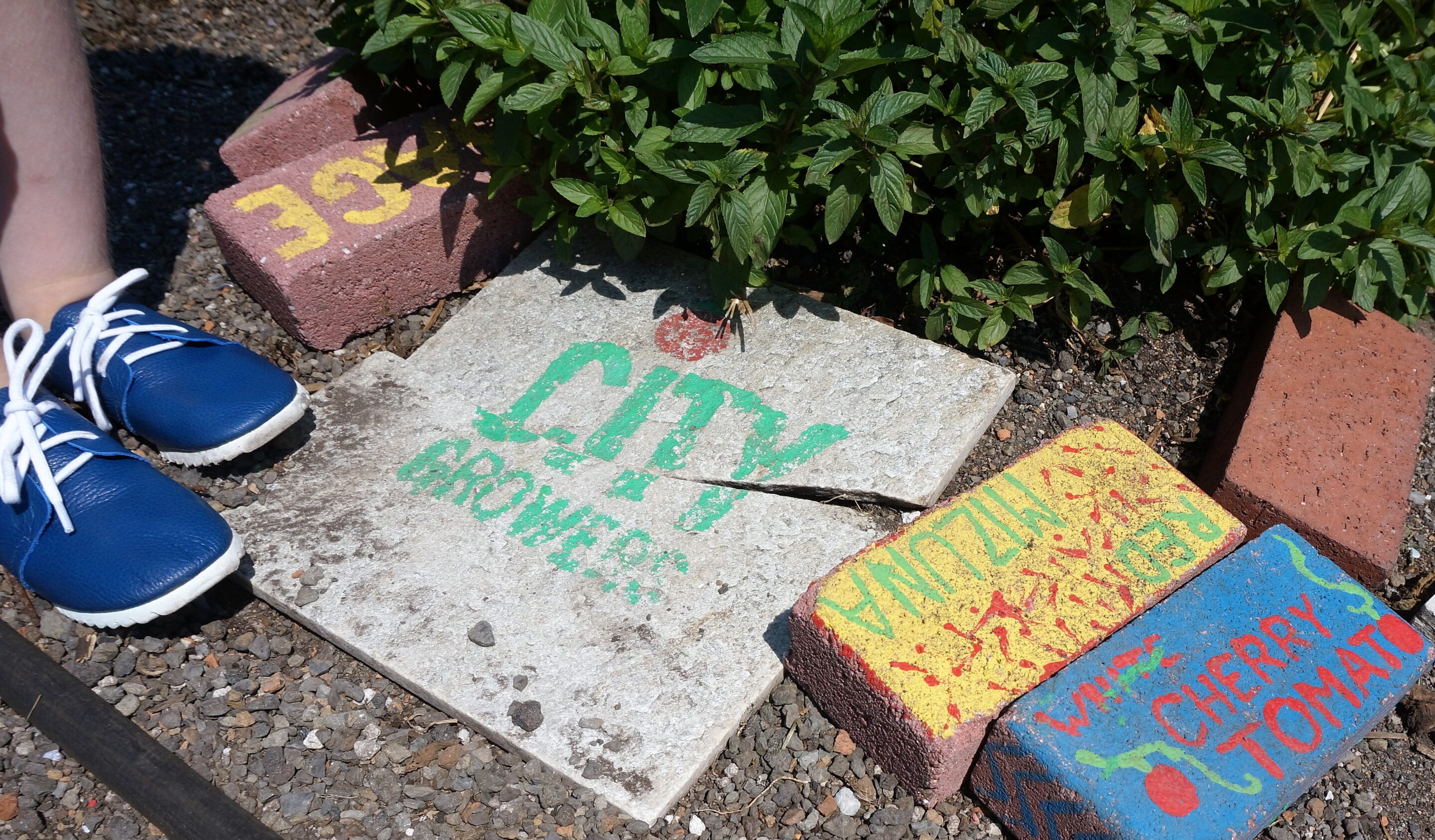 City Growers 5