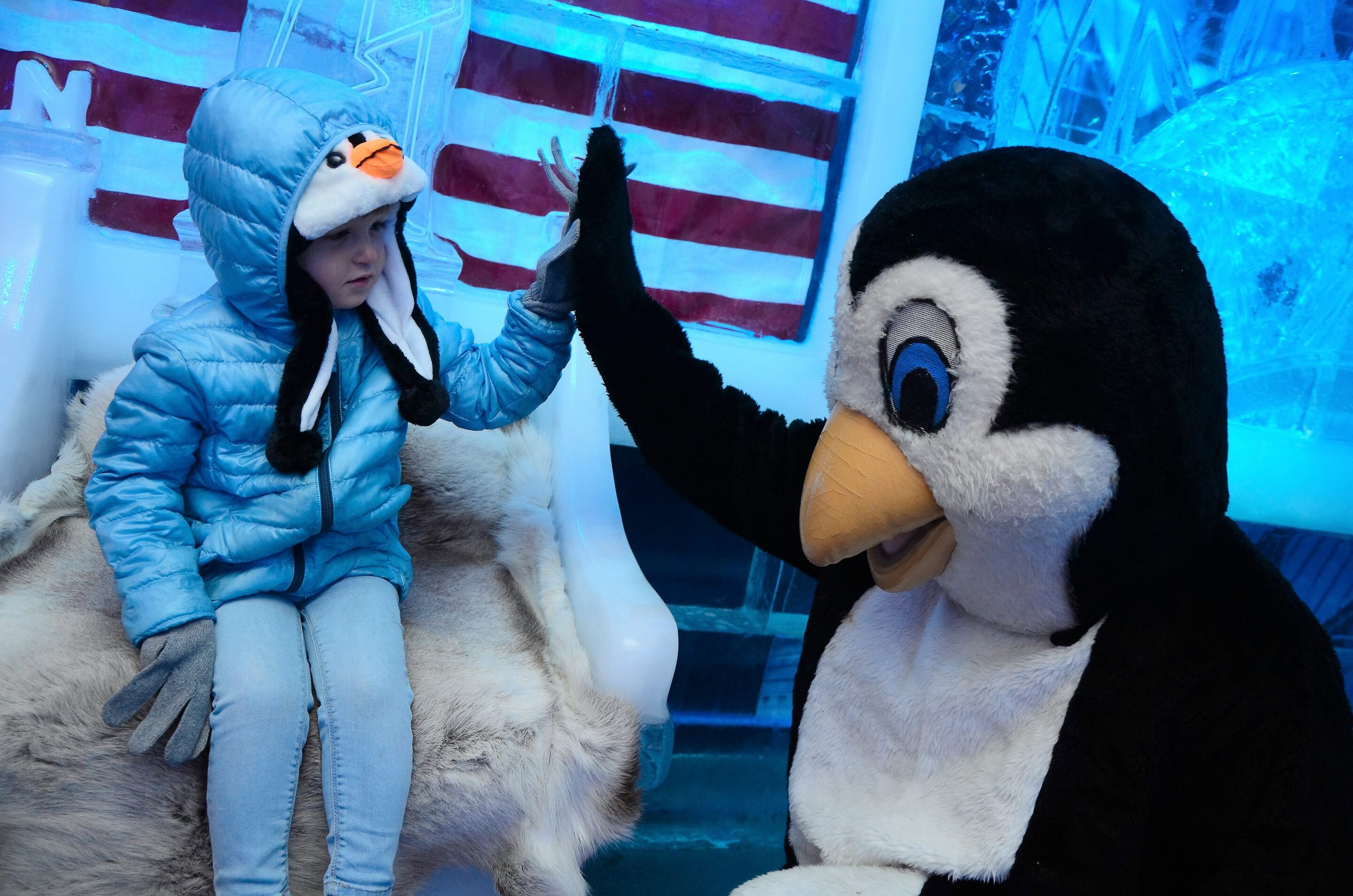 Minus5 Ice Bar 7