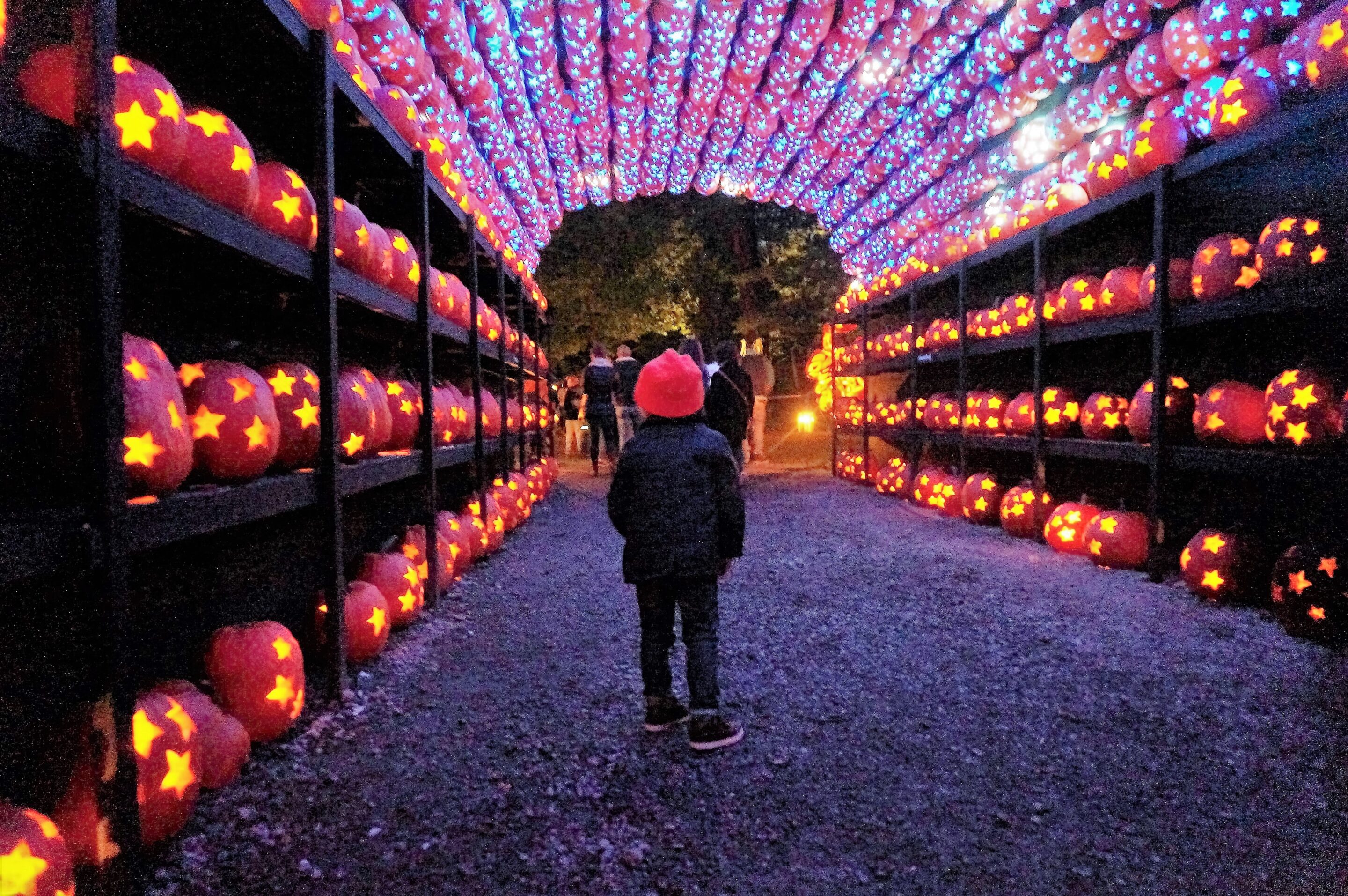 All Lit Up – The Great Jack O’ Lantern Blaze