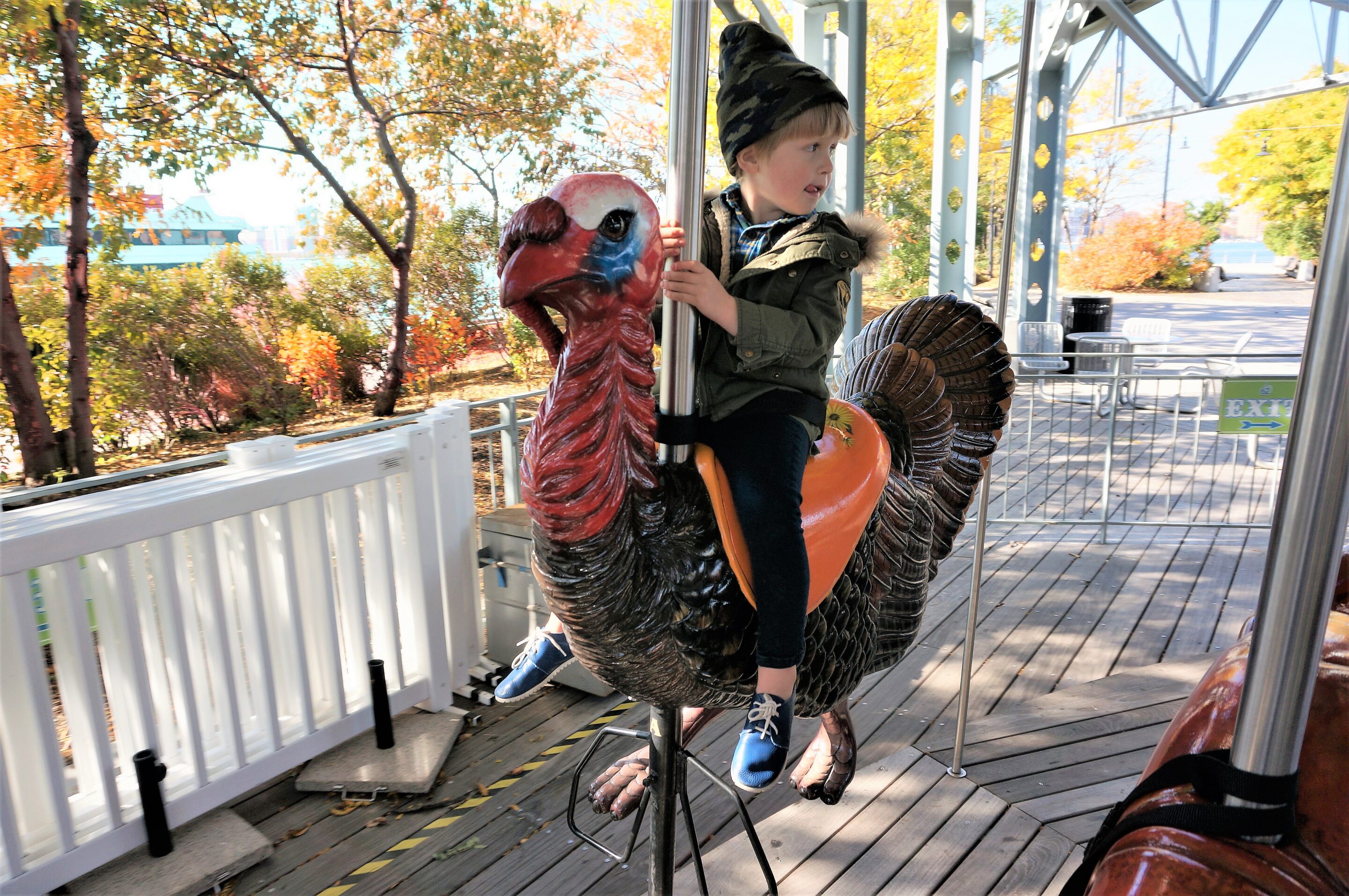 Turkey Time in the City