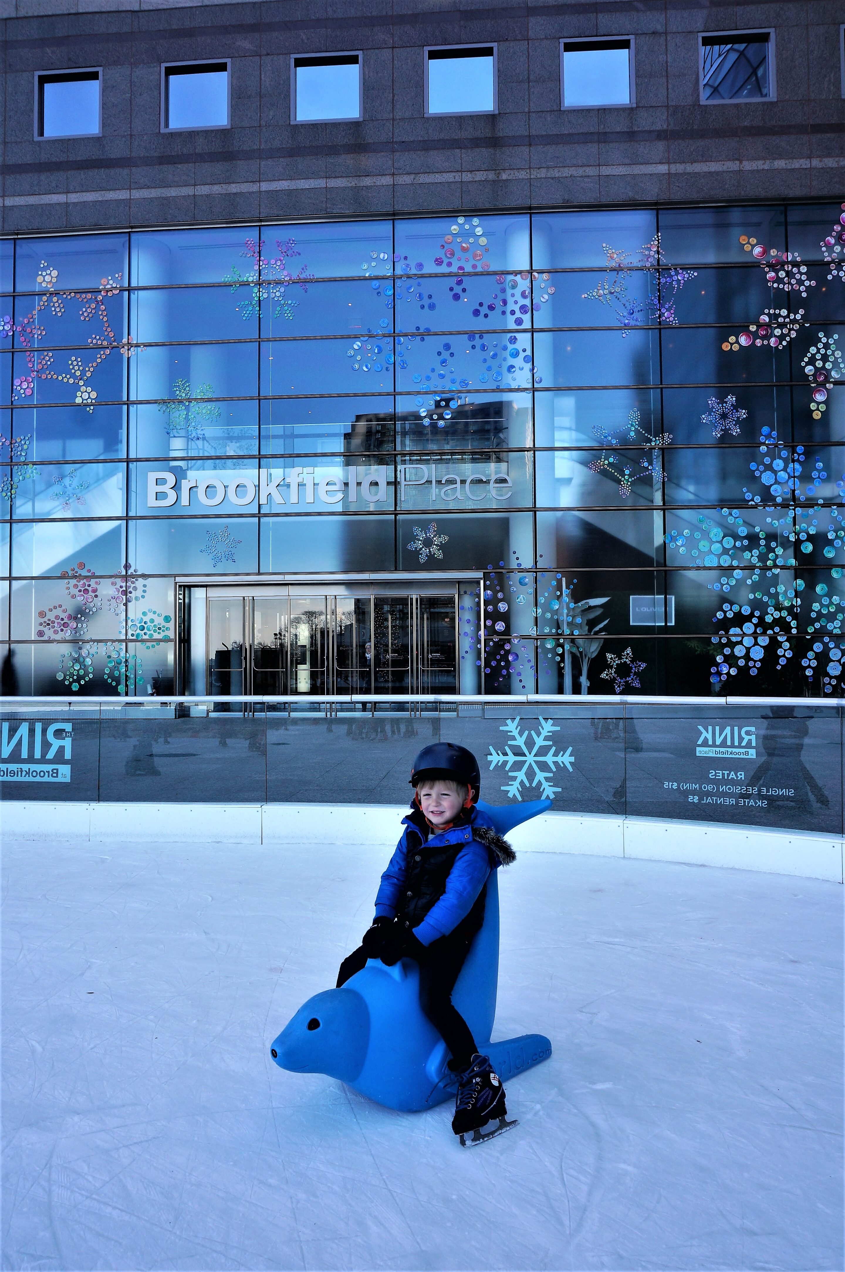 Seal fun at the Rink at Brookfield Pace