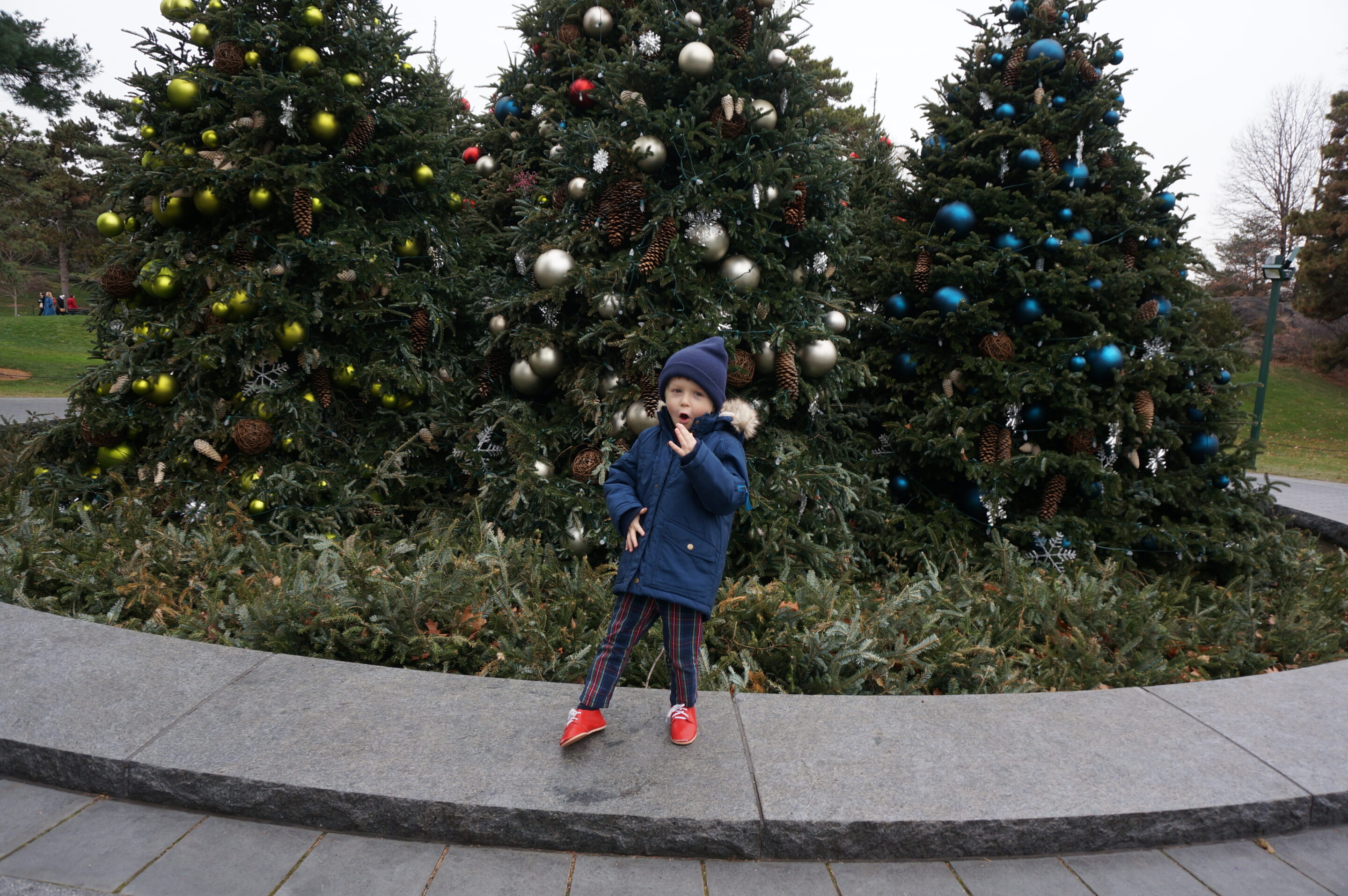 NYBG Christmas Trees