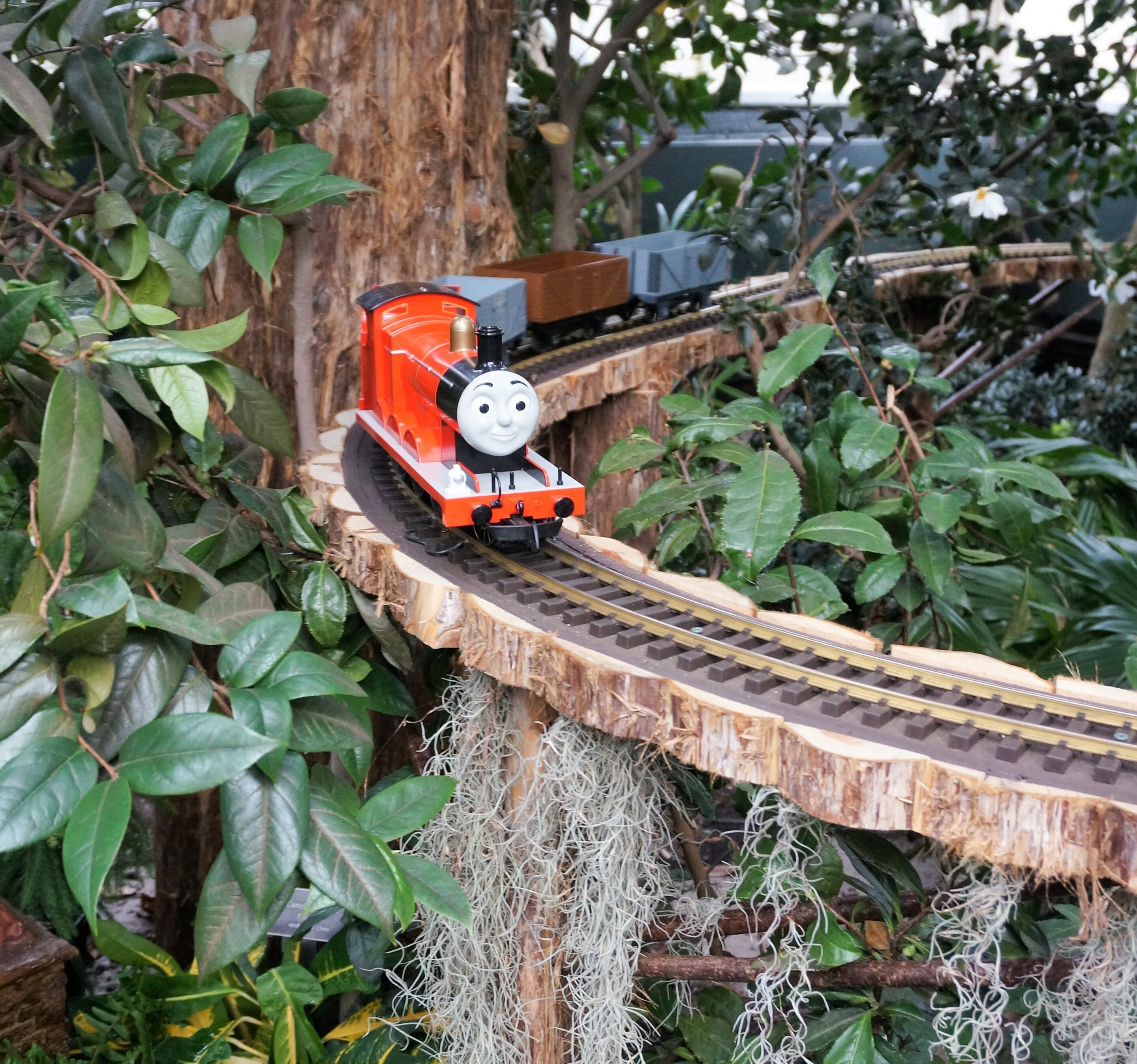 Thomas the train at the New York Botanical Garden Train Show 