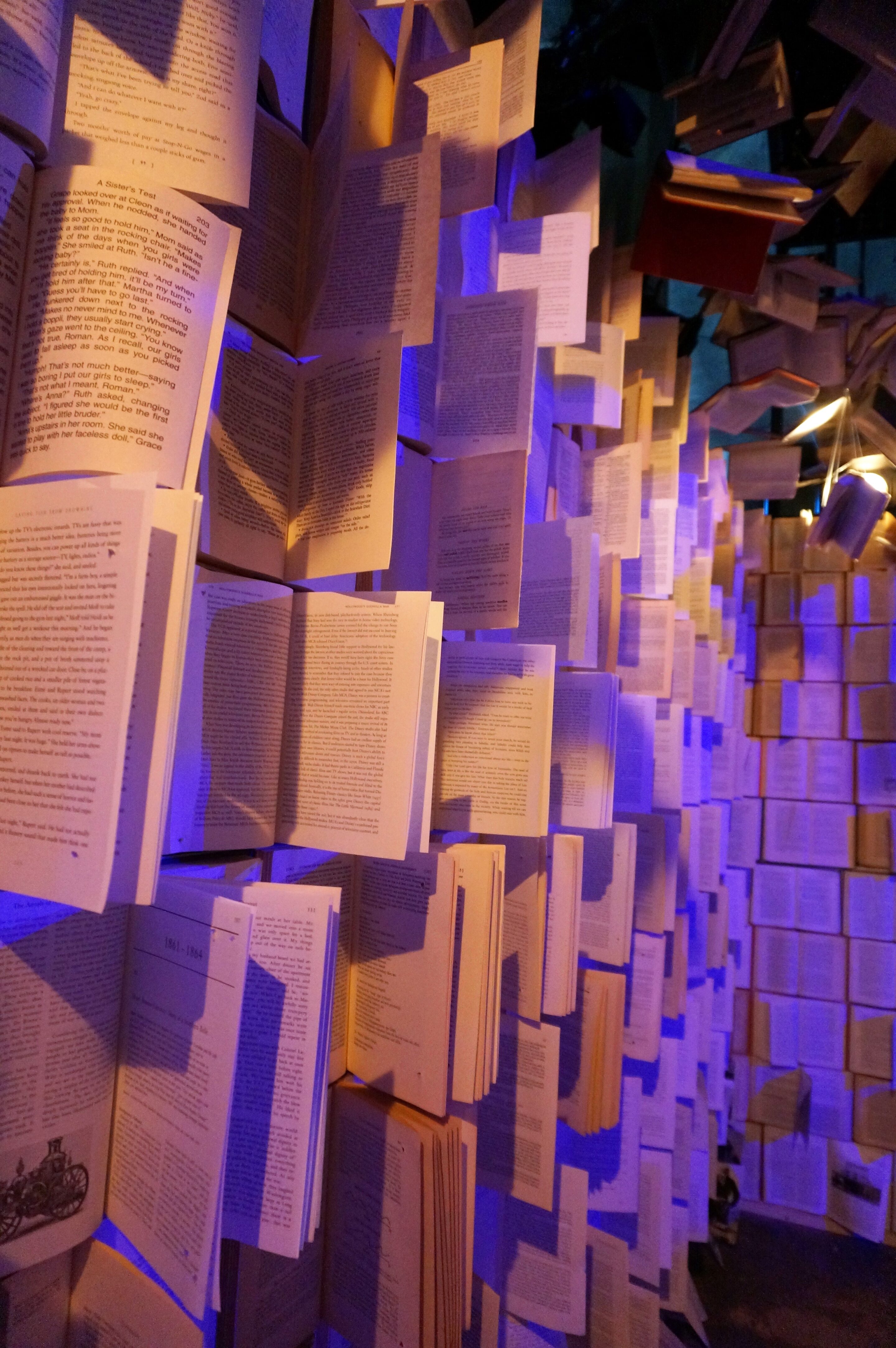 a detail of the books insdie the library at Hall of Magic