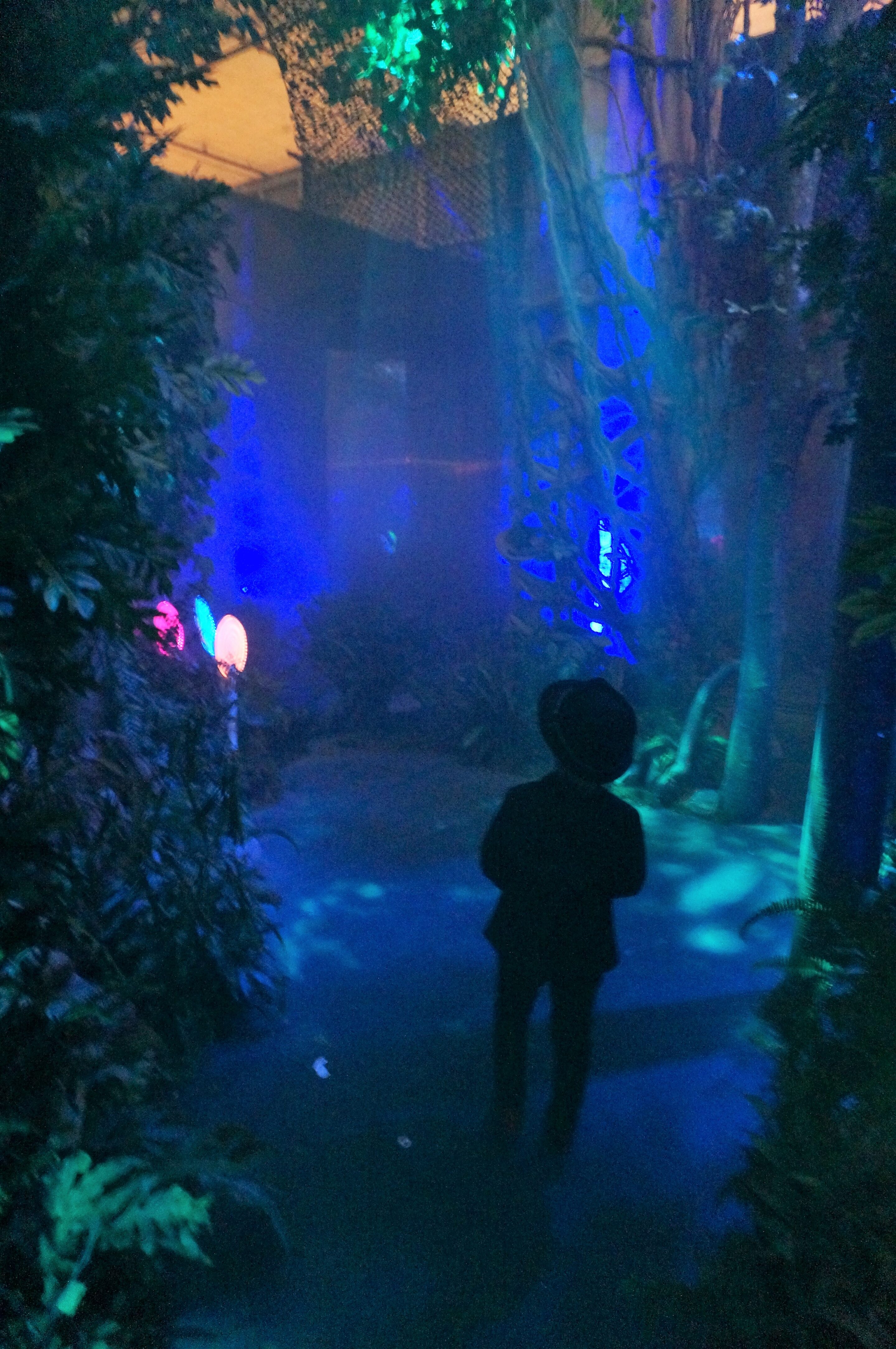 magical forest at hall of magic nyc