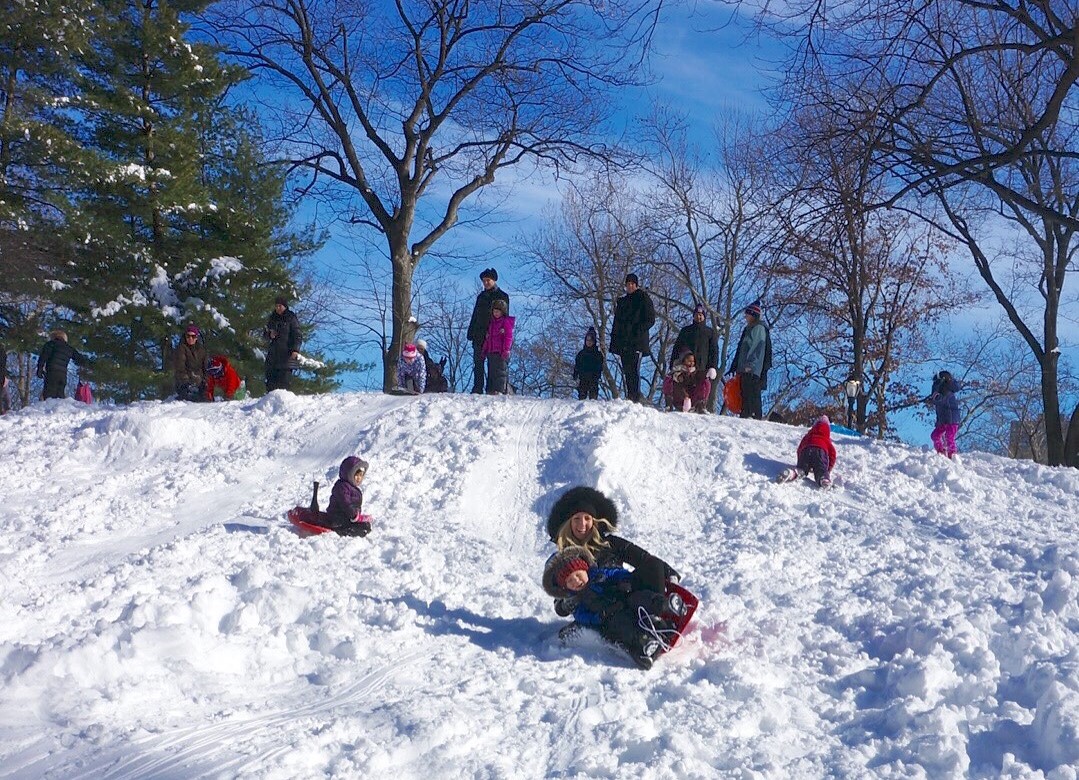 Sledding down a hill in Cental Park