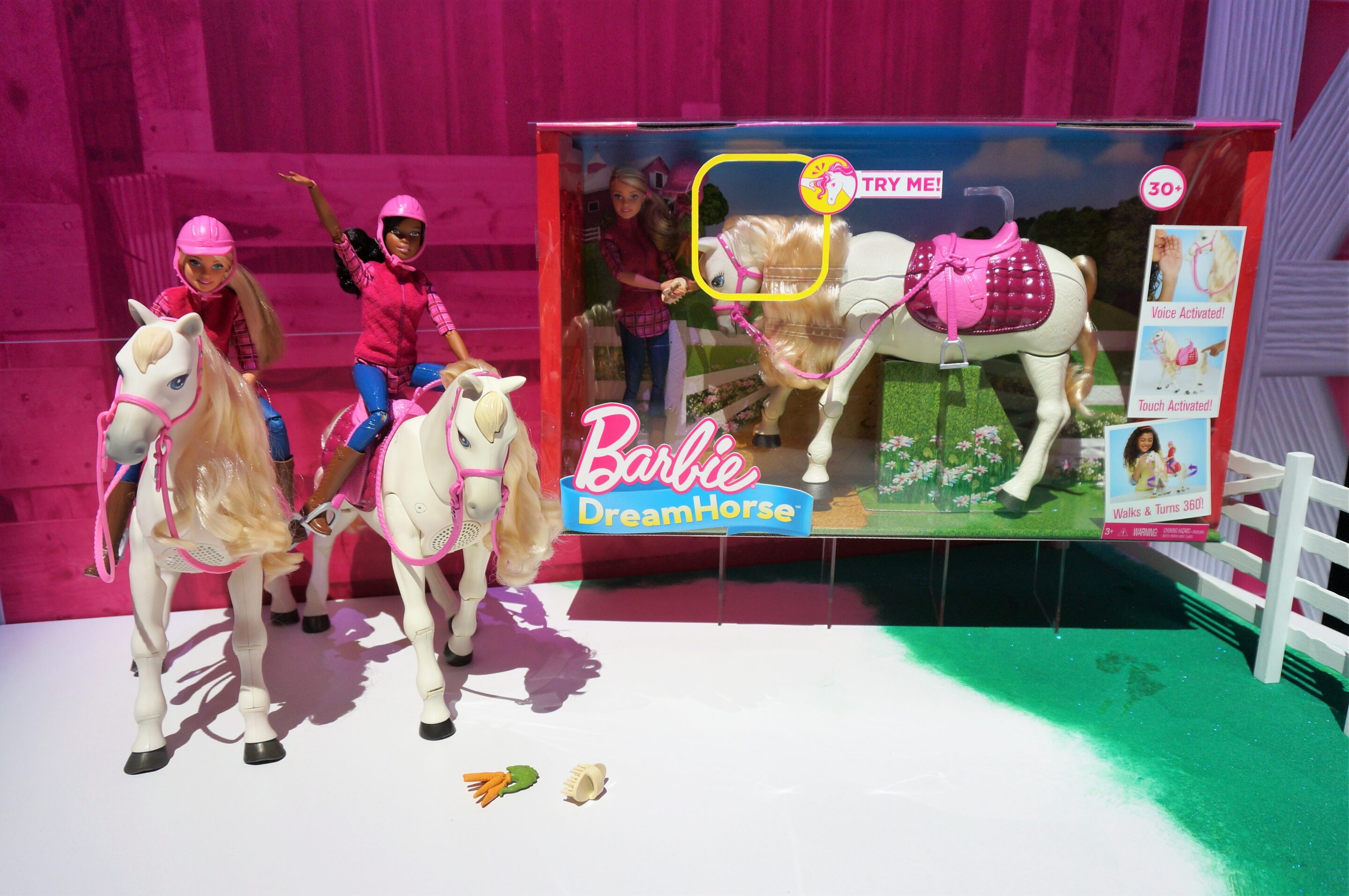 Barbie and her Dreamhorse