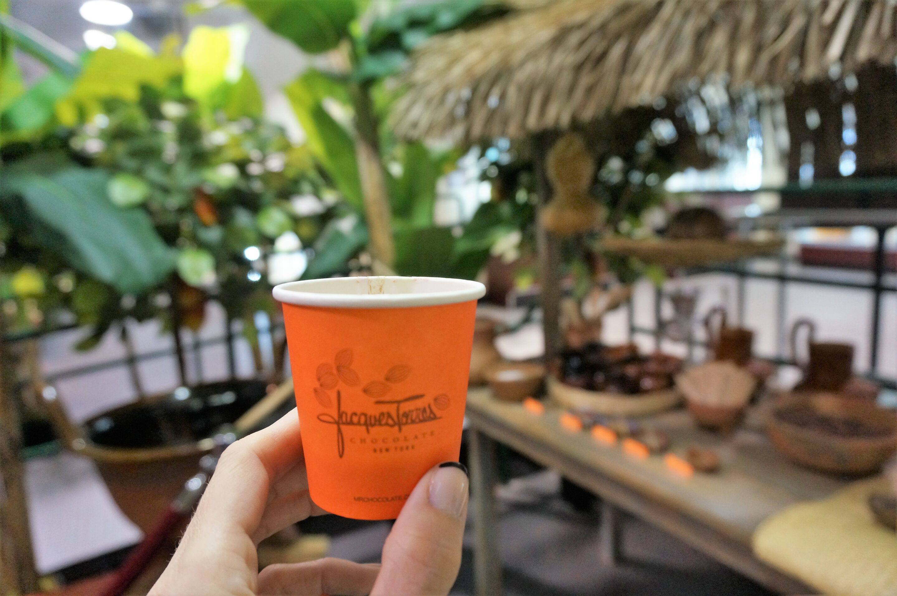 Hot Chocolate tasting at Choco-Story New York