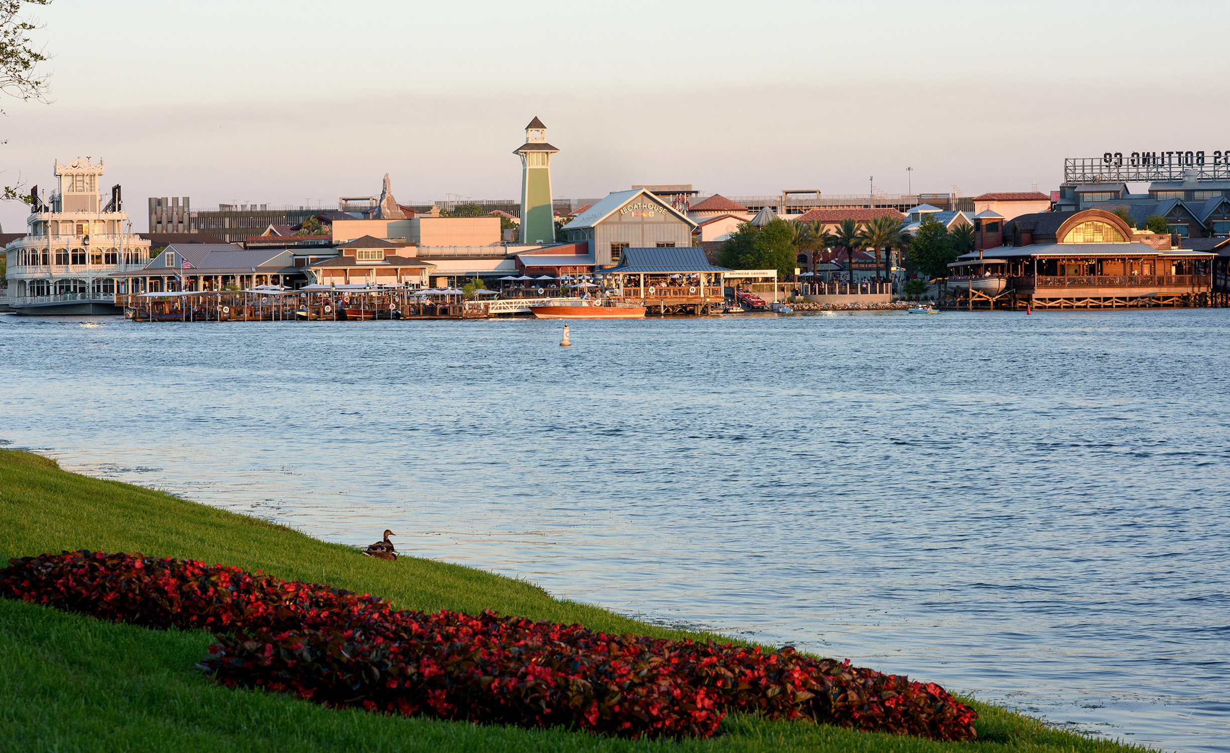 Disney Springs Entertainment Complex