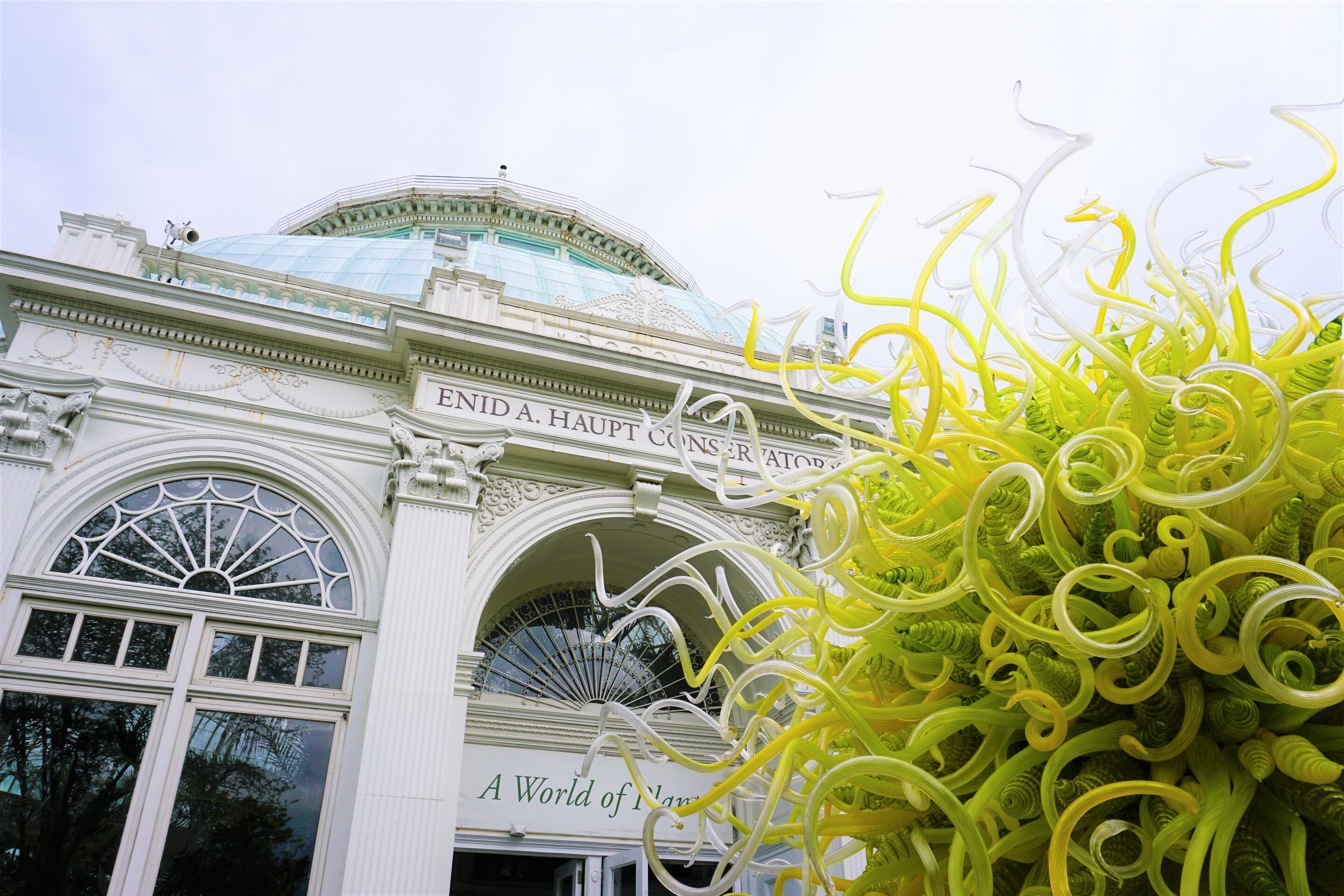 Chihuly: Sol del Citrón