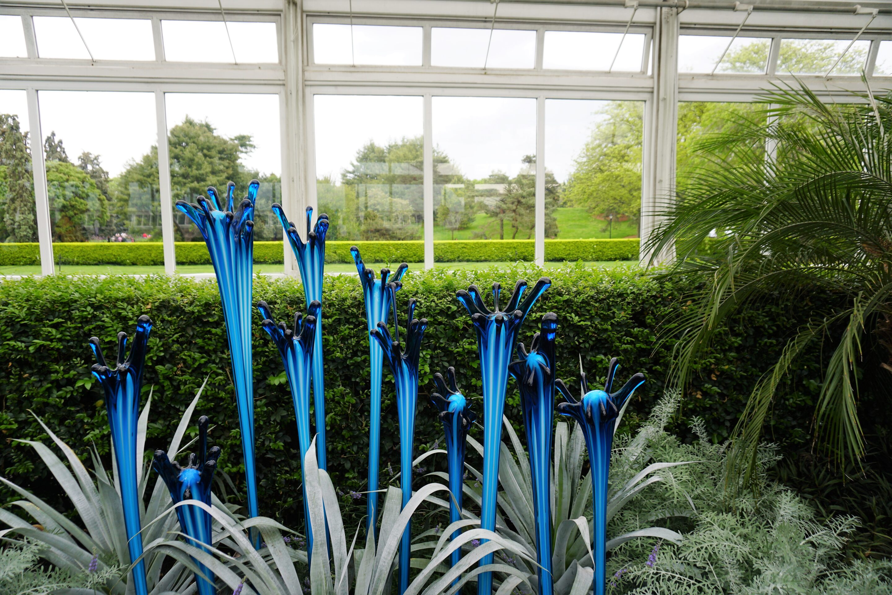 Chihuly: Glasshouse Fiori