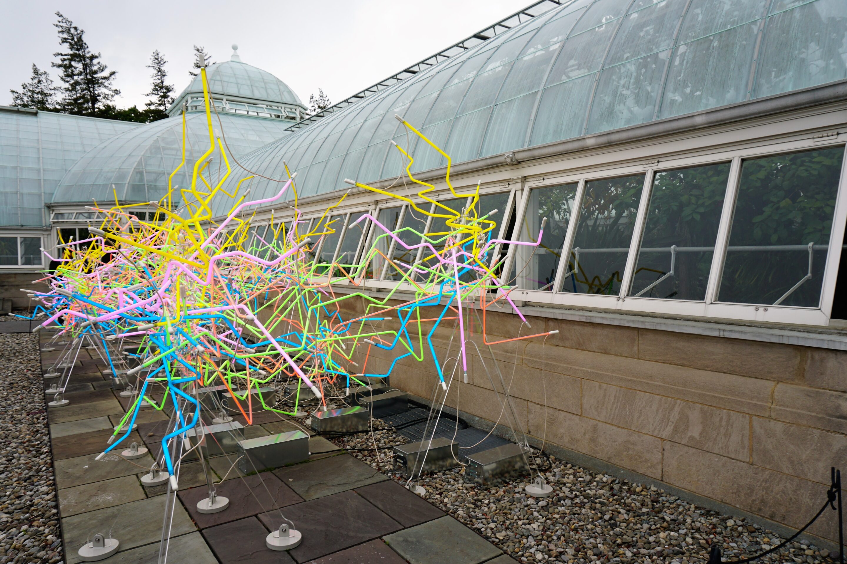 Chihuly: Neon 206
