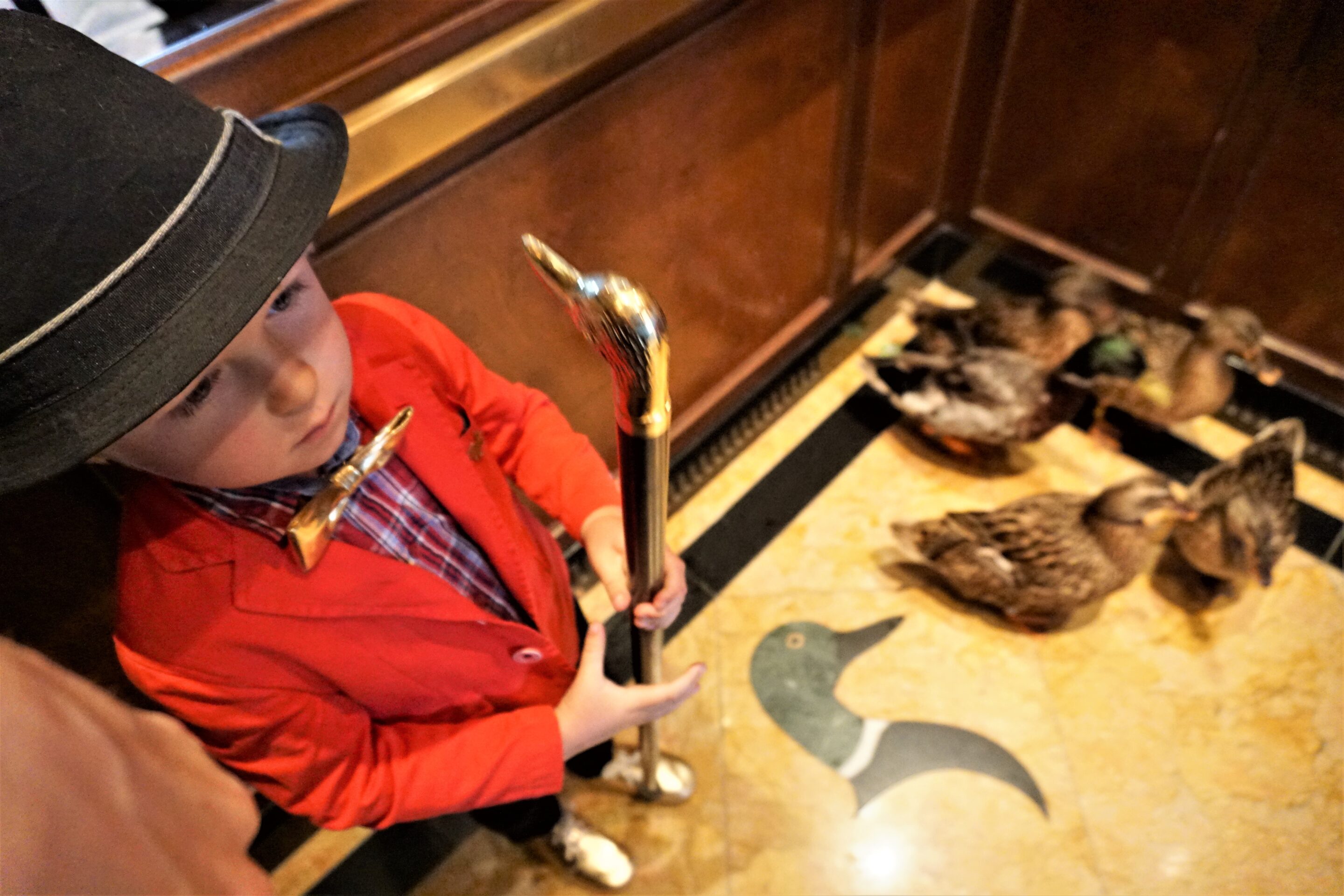 Peabody Ducks in the elevator at the Peabody Memphis