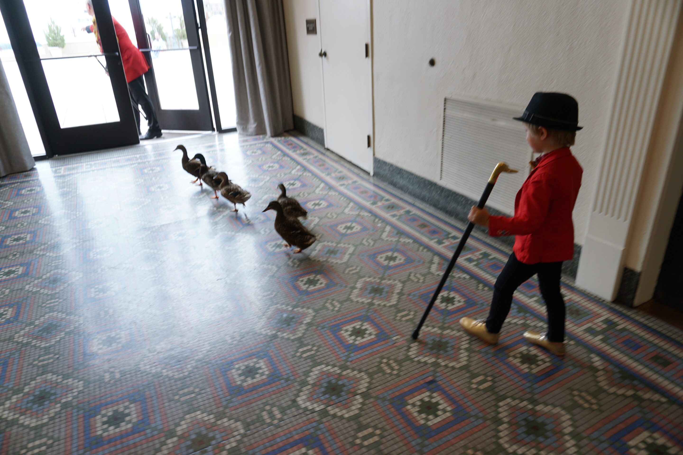 Leading the ducks to the palace - at the Peabody Hotel Memphis