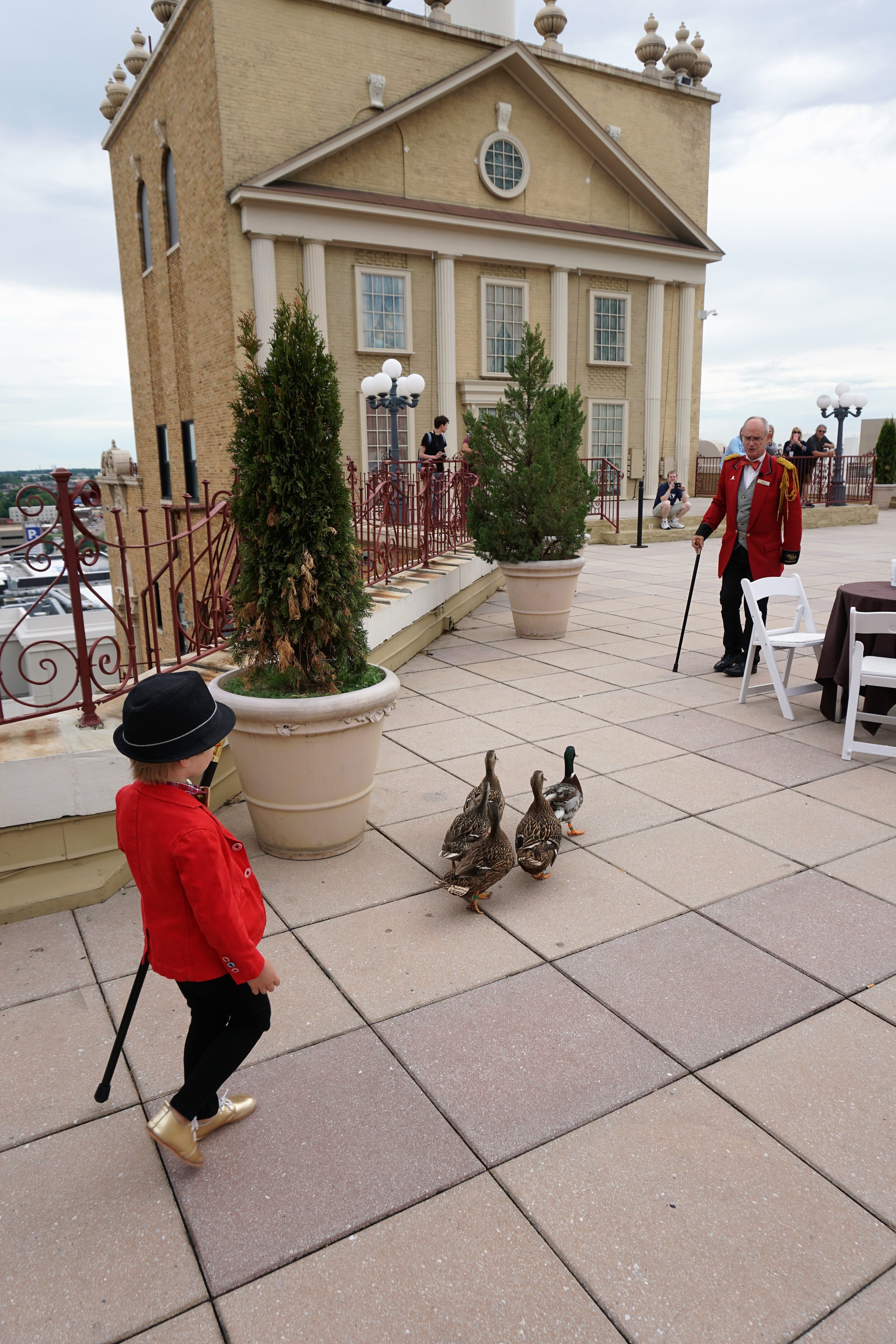 Leading the ducks to the palace - at the Peabody Hotel Memphis