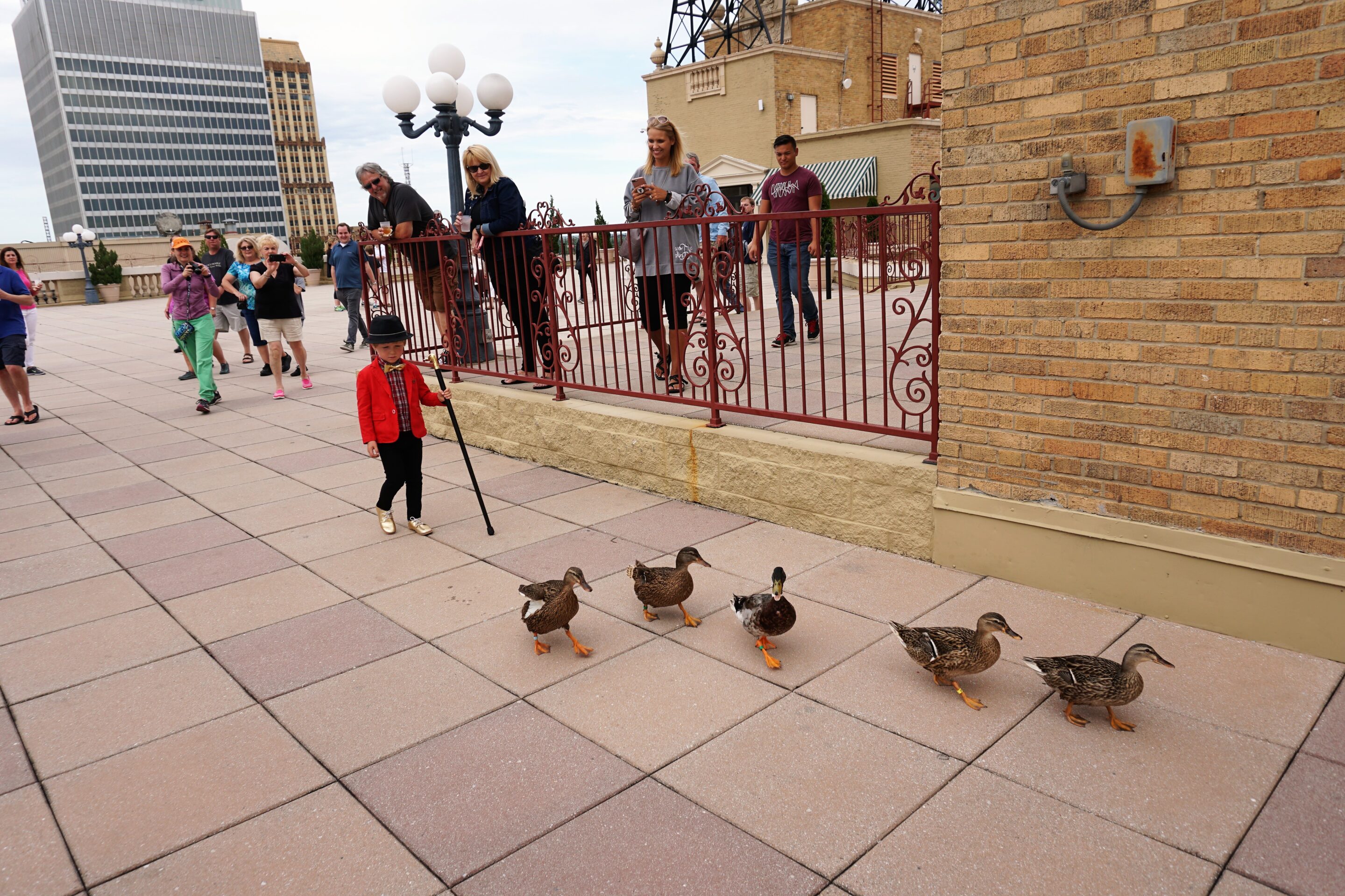 Leading the ducks to the palace - at the Peabody Hotel Memphis