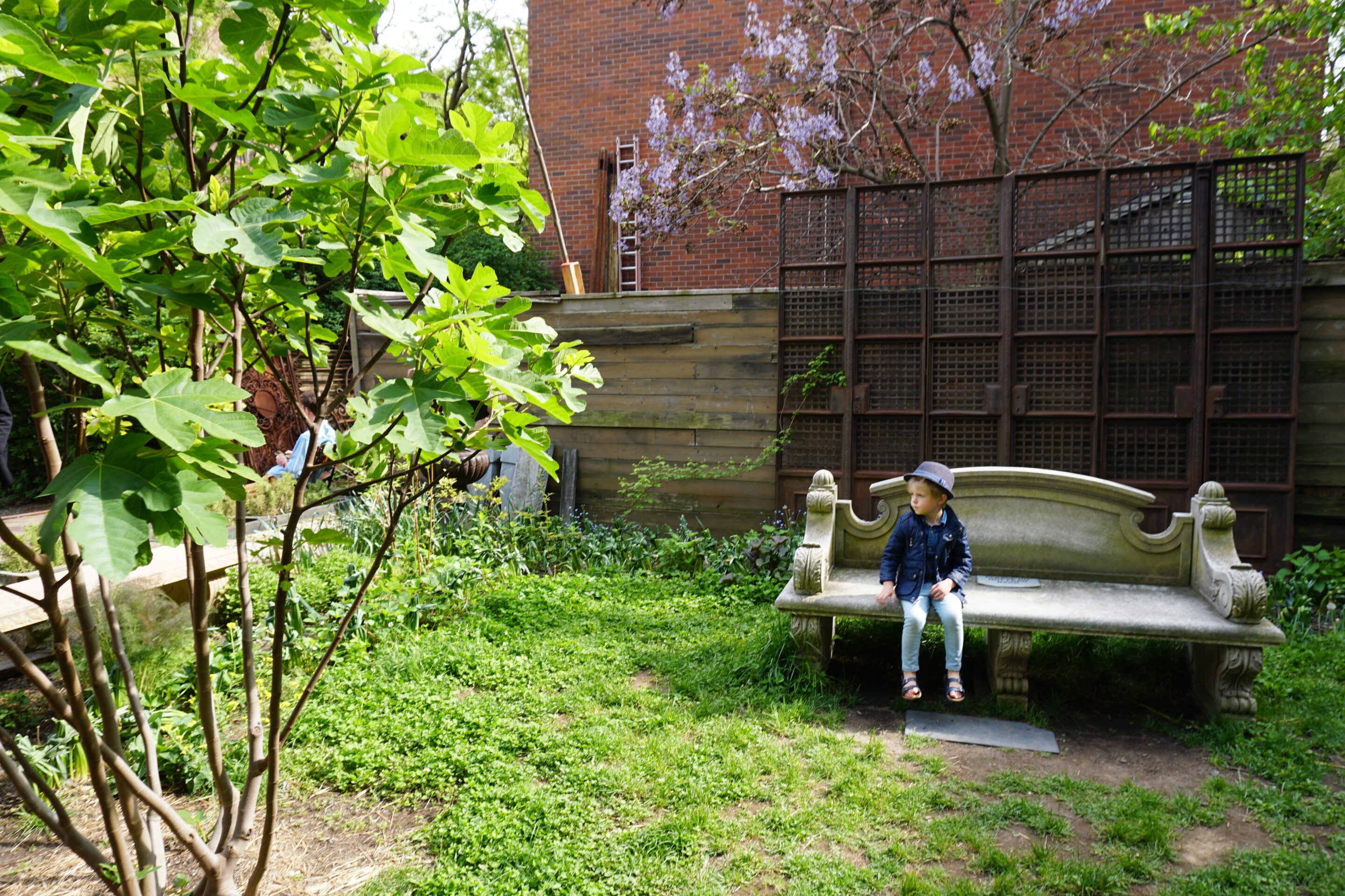Exploring Elizabeth Street Garden