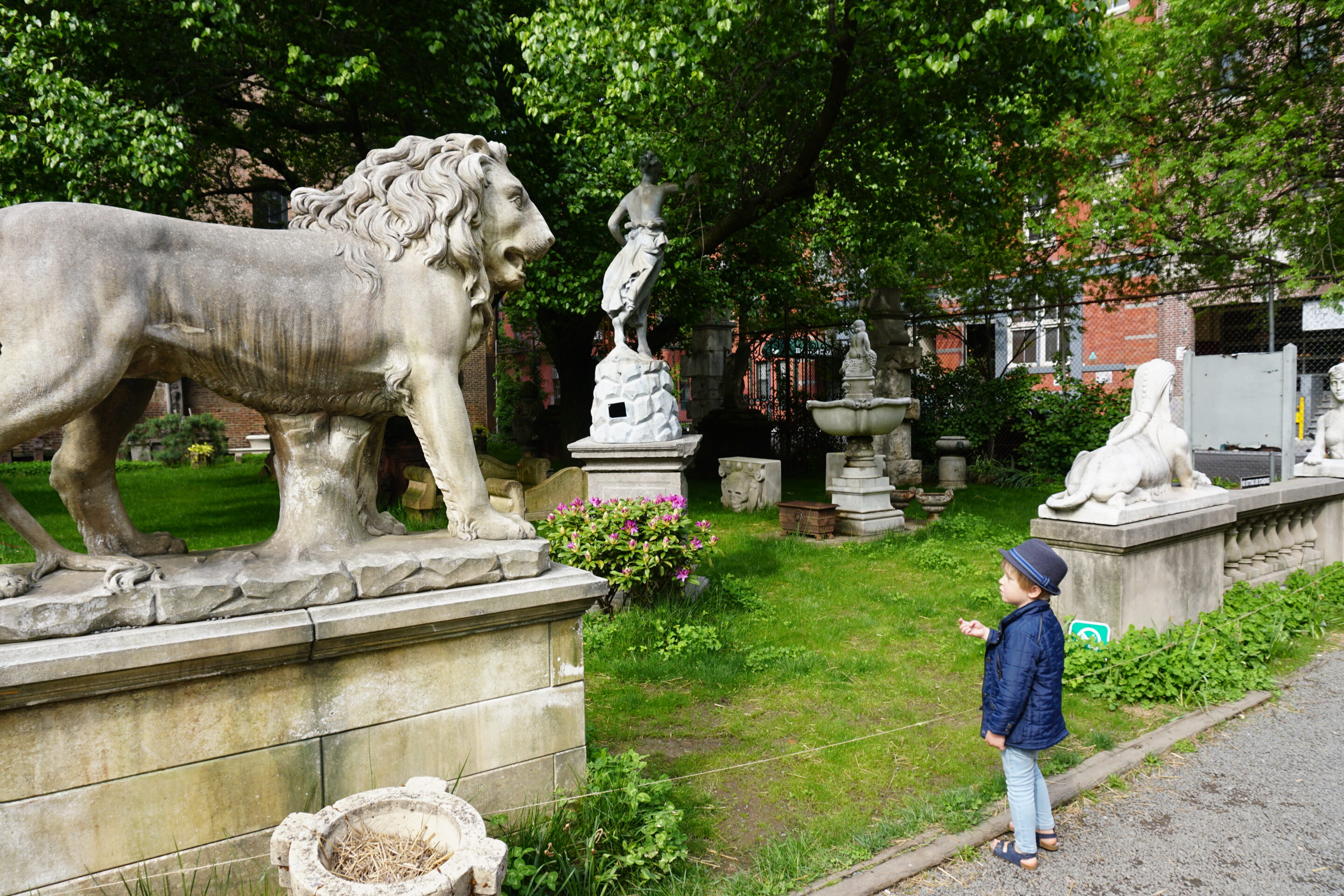 Making friends in Elizabeth Street Garden