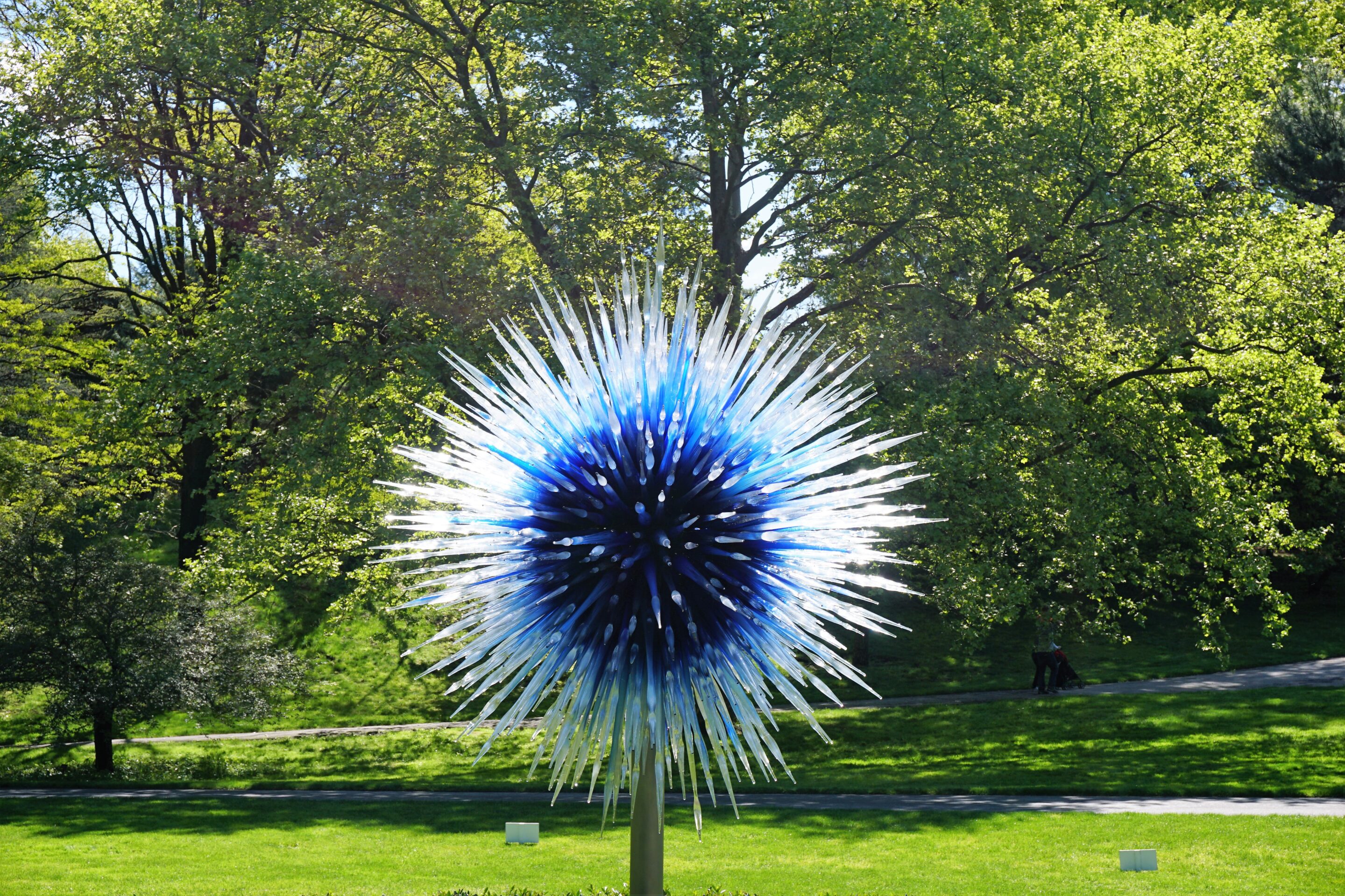 Chihuly: Sapphire Star