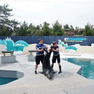 NYC kids events