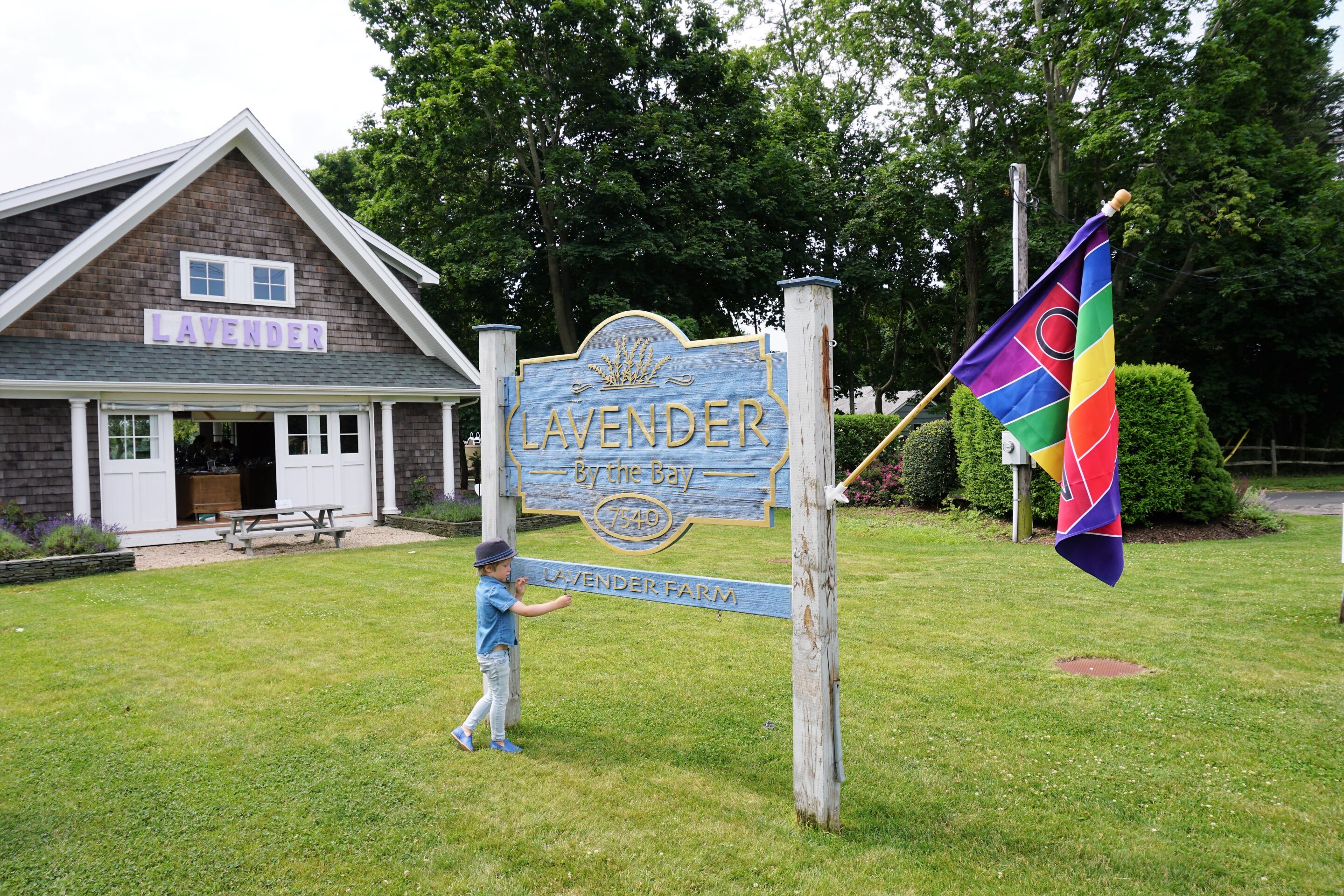 Visiting Lavender by the Bay