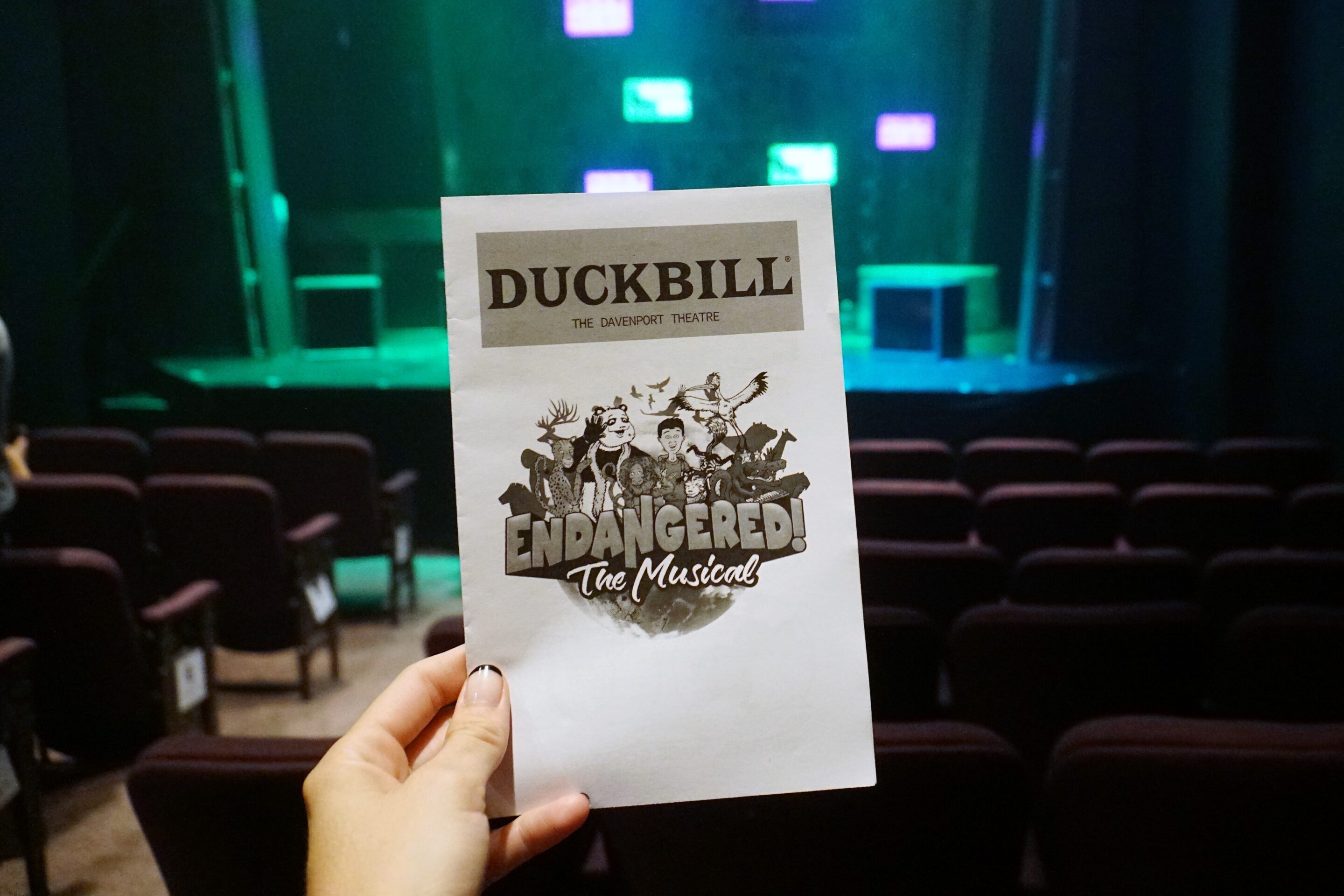 Endangered! the Musical - inside the theater