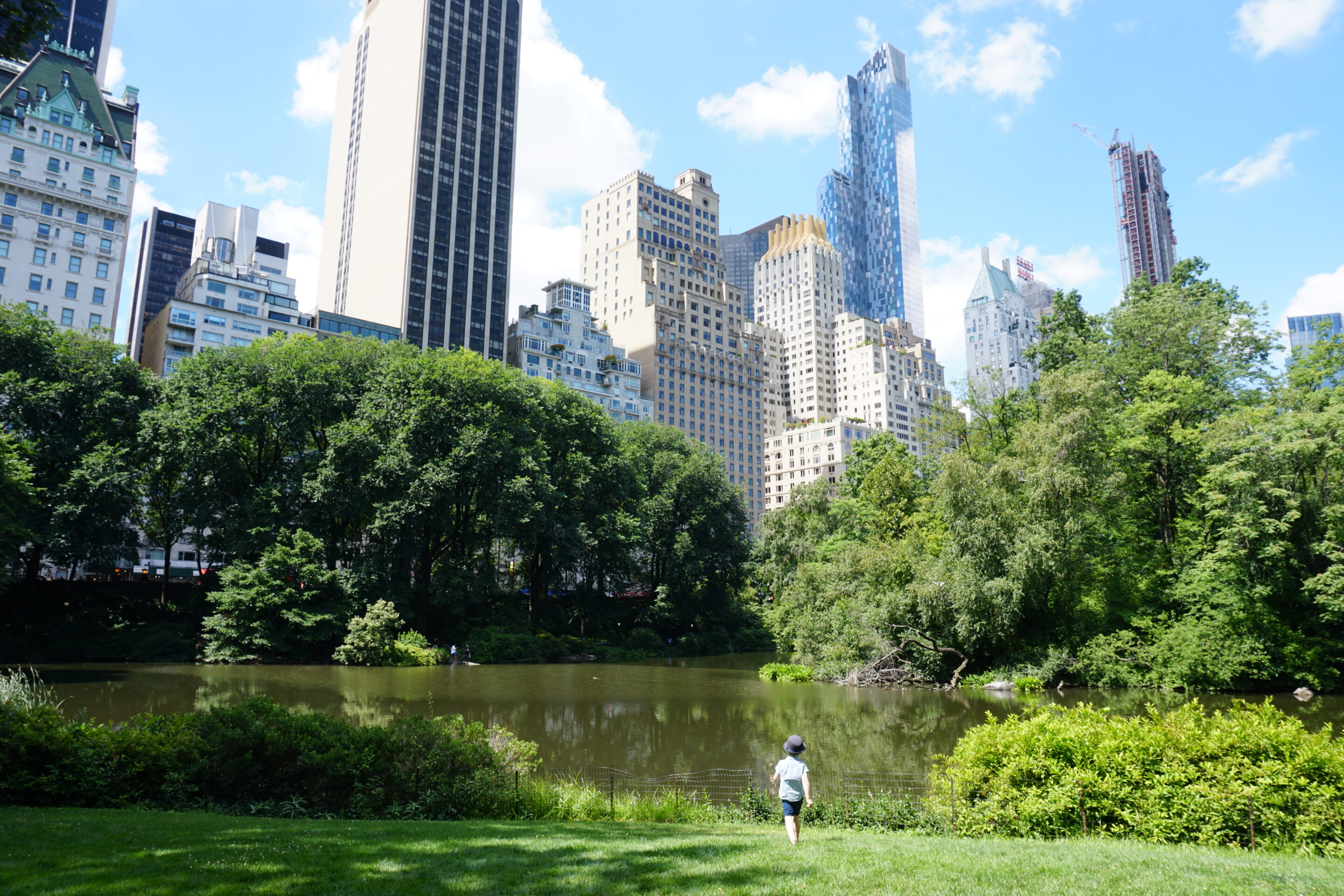 Top 40 Things to Do in Central Park