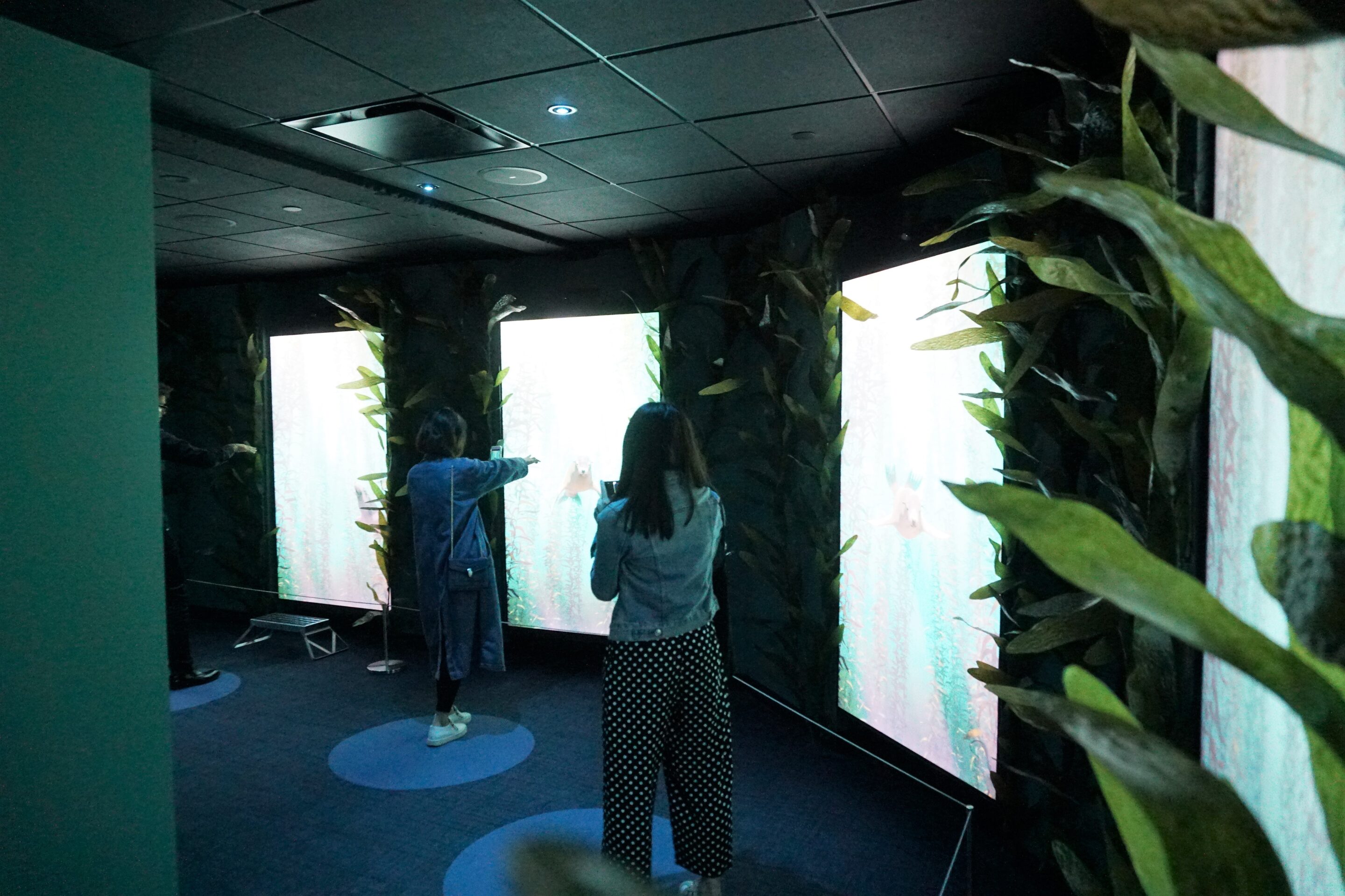 Saying hi to friendly sea lions at National Geographic Encounter Ocean Odyssey