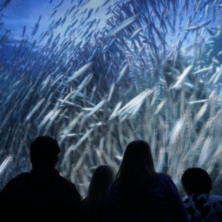 NYC kids events
