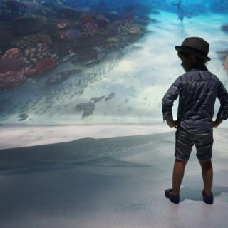 NYC kids events