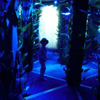 NYC kids activities