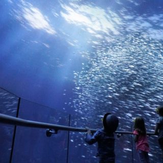 NYC kids activities