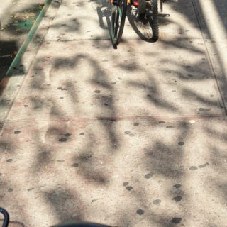 New York city for kids
