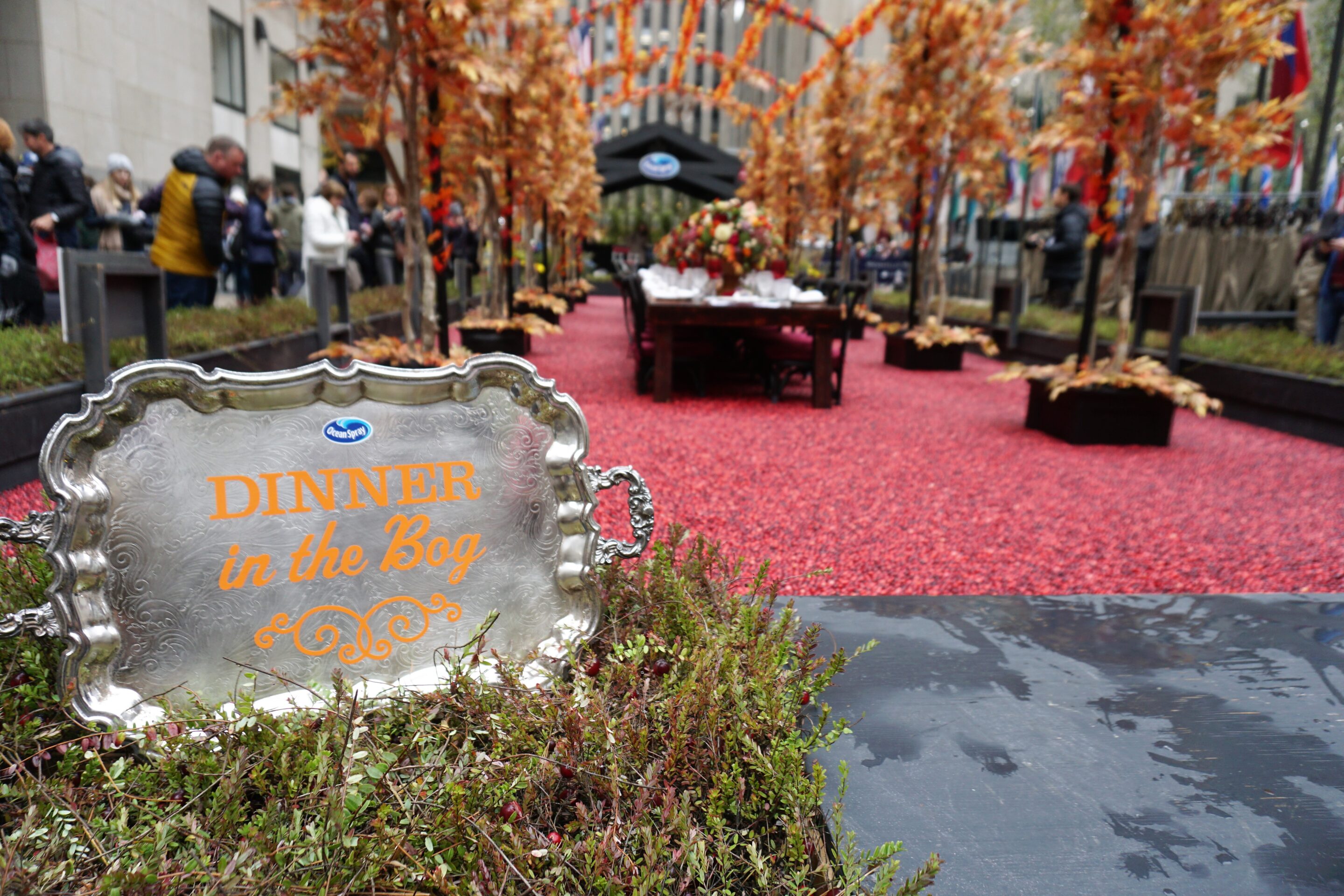 Dinner in the Bog - Ocean Spray Thanksgiving Boot Camp