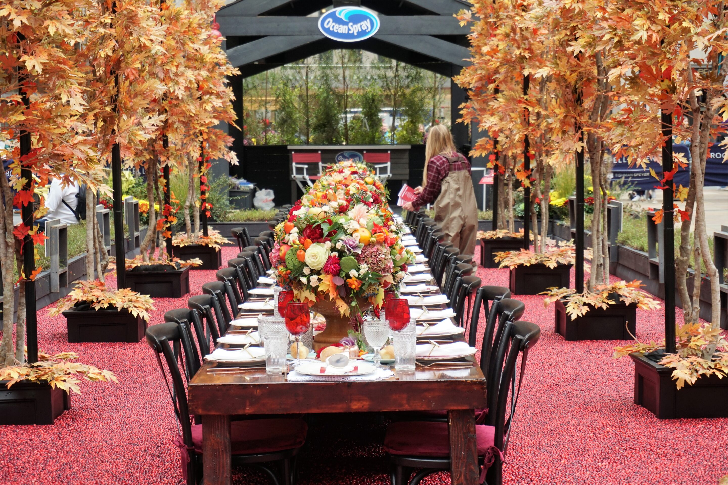 Dinner in the Bog - Ocean Spray