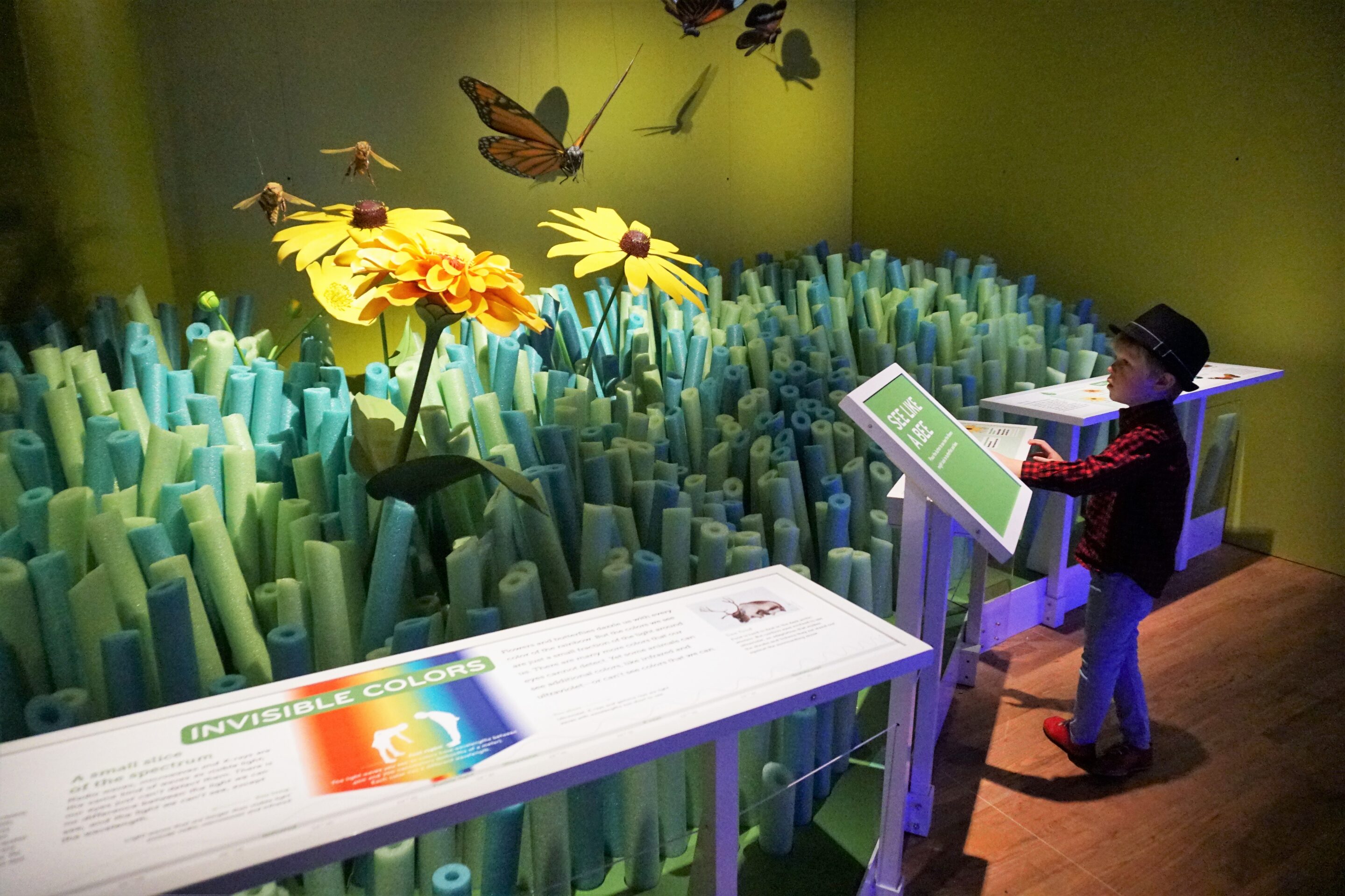 American Museum of Natural History - Our Senses