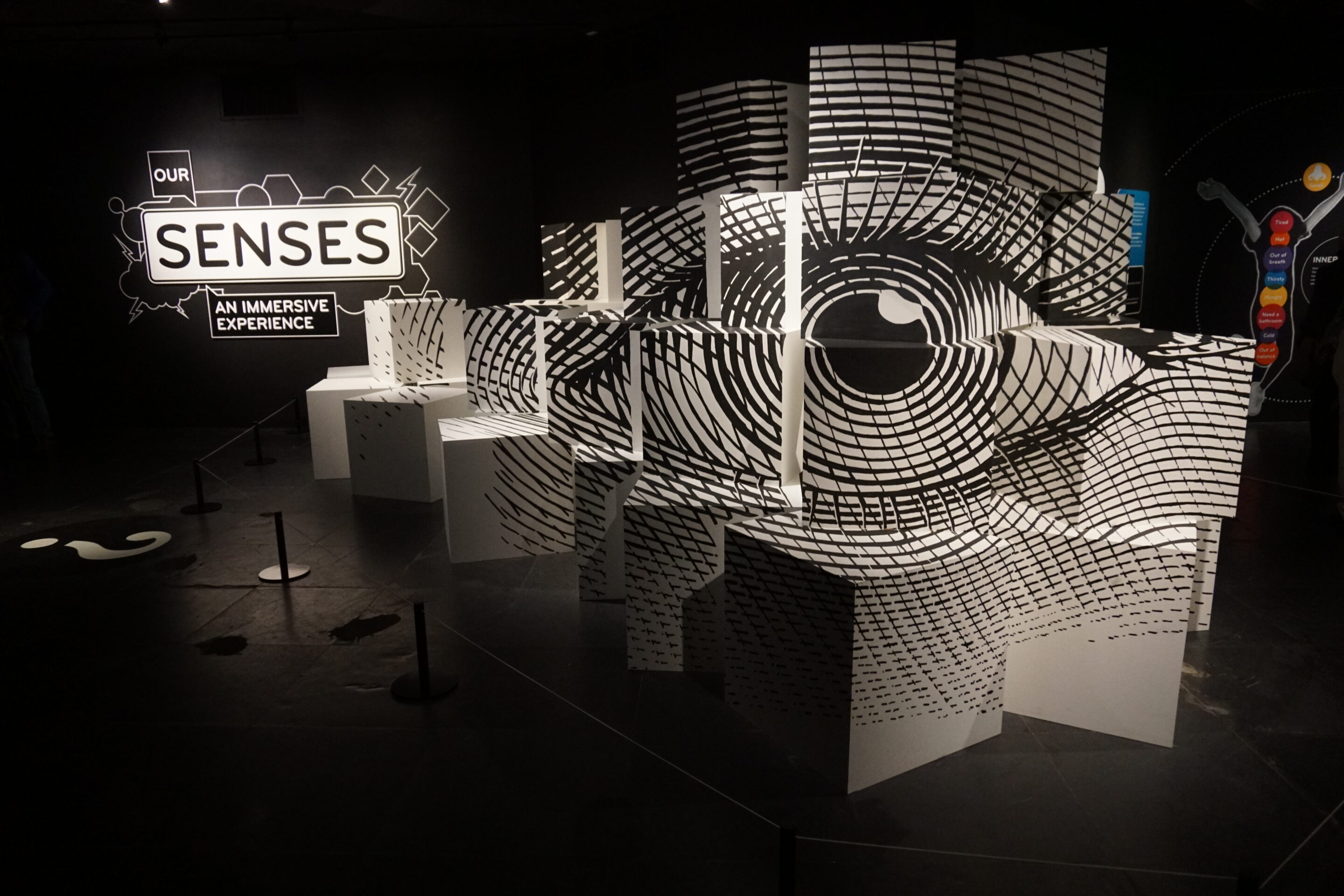 American Museum of Natural History - Our Senses
