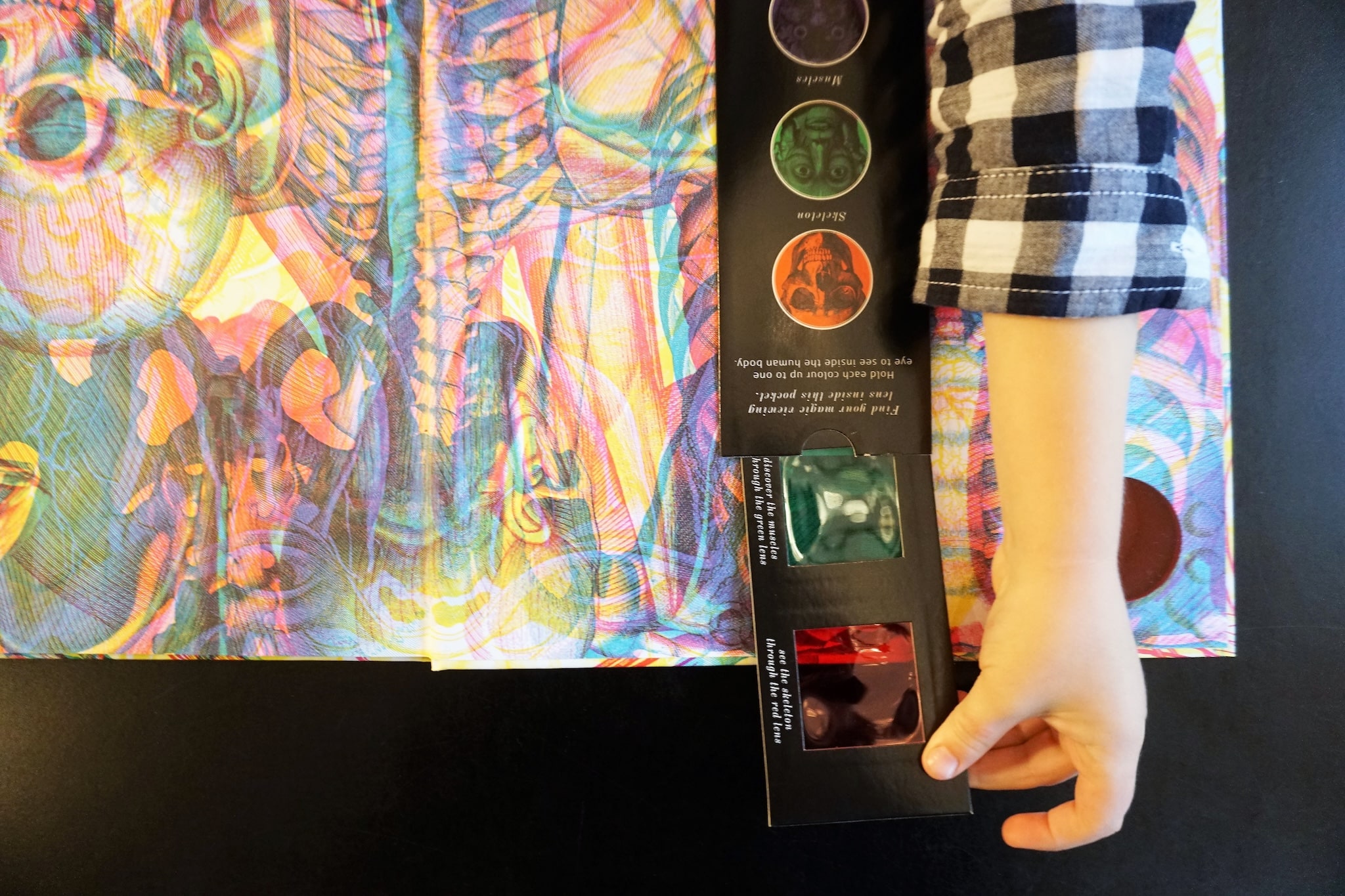 Head to Toe – Illumanatomy Children’s Book