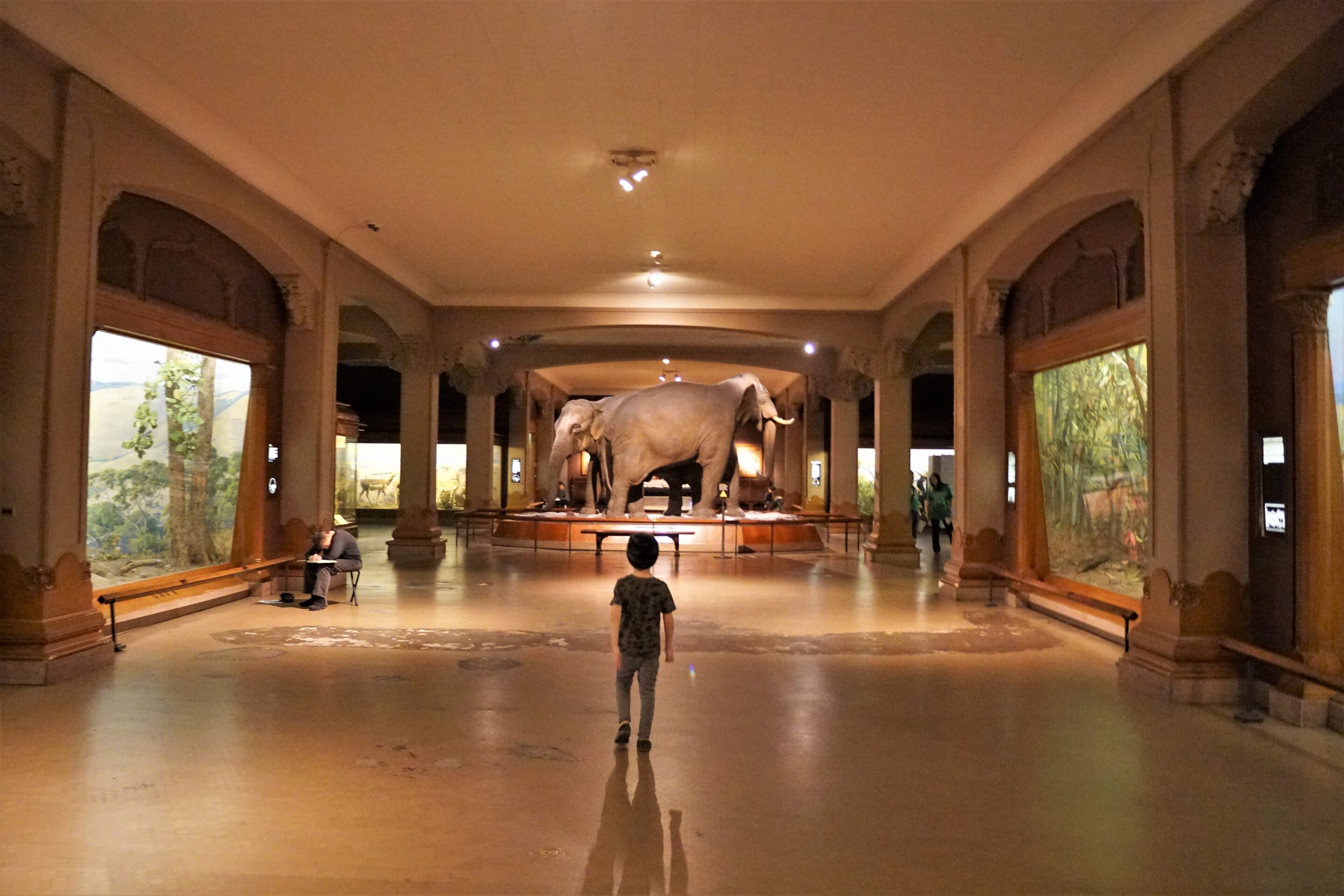 A Night at the Museum – Sleep Over at the American Museum of Natural History